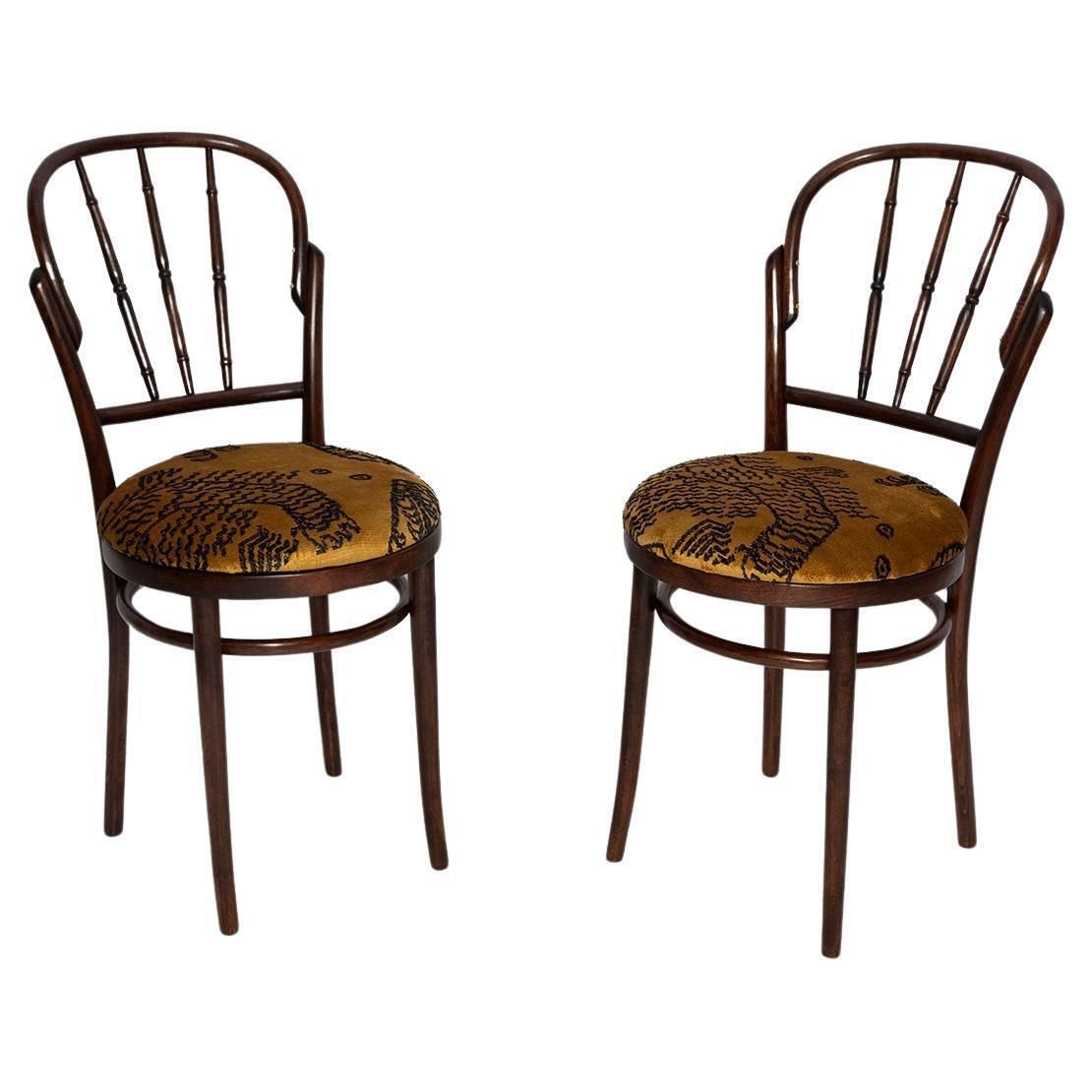 Pair Of Mid Century Beige Tiger Dedar Chairs, Fameg Factory, Poland, 1960s