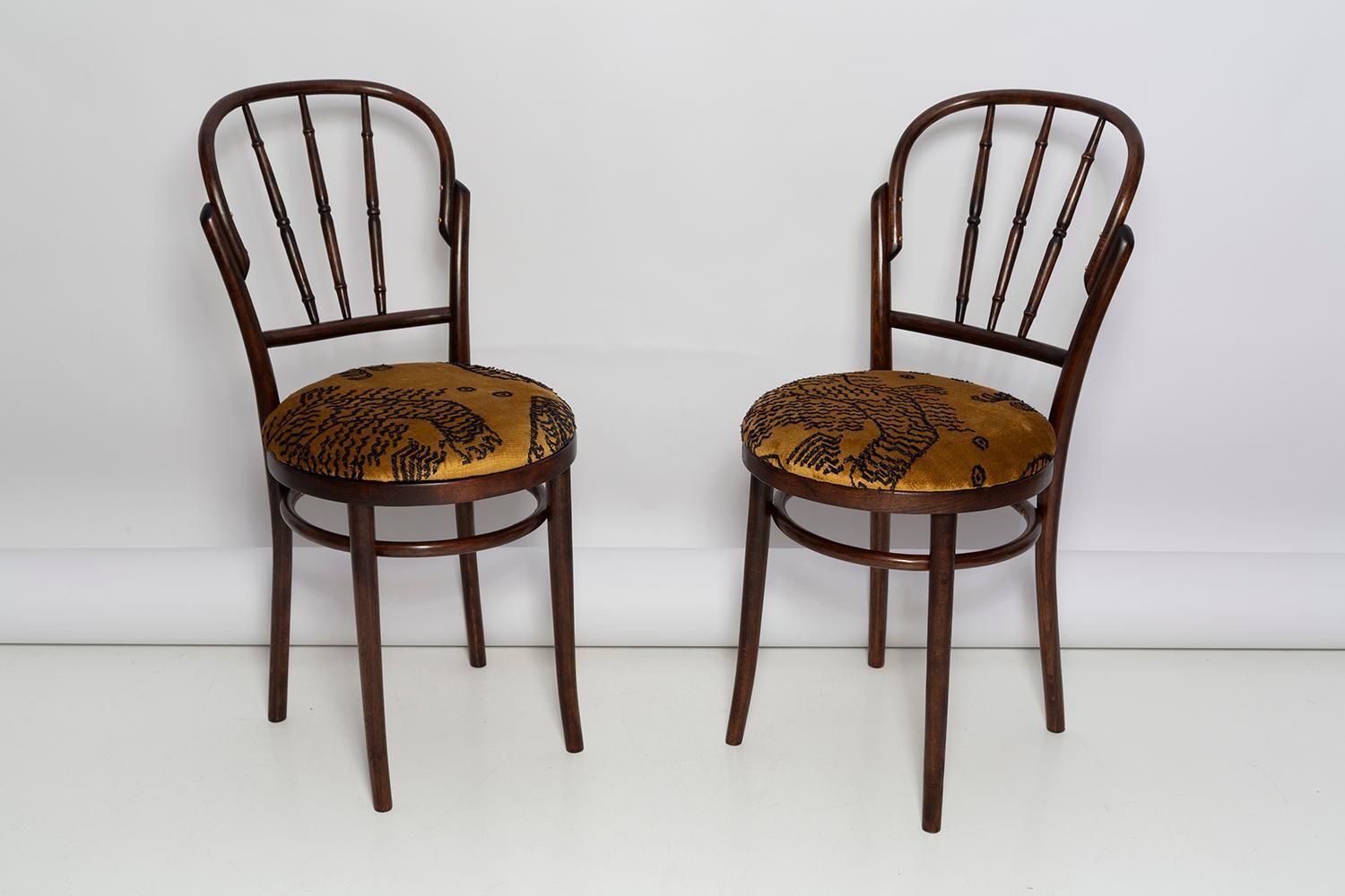 Pair Of Mid Century Beige Tiger Dedar Chairs, Fameg Factory, Poland, 1960s photo furniture
