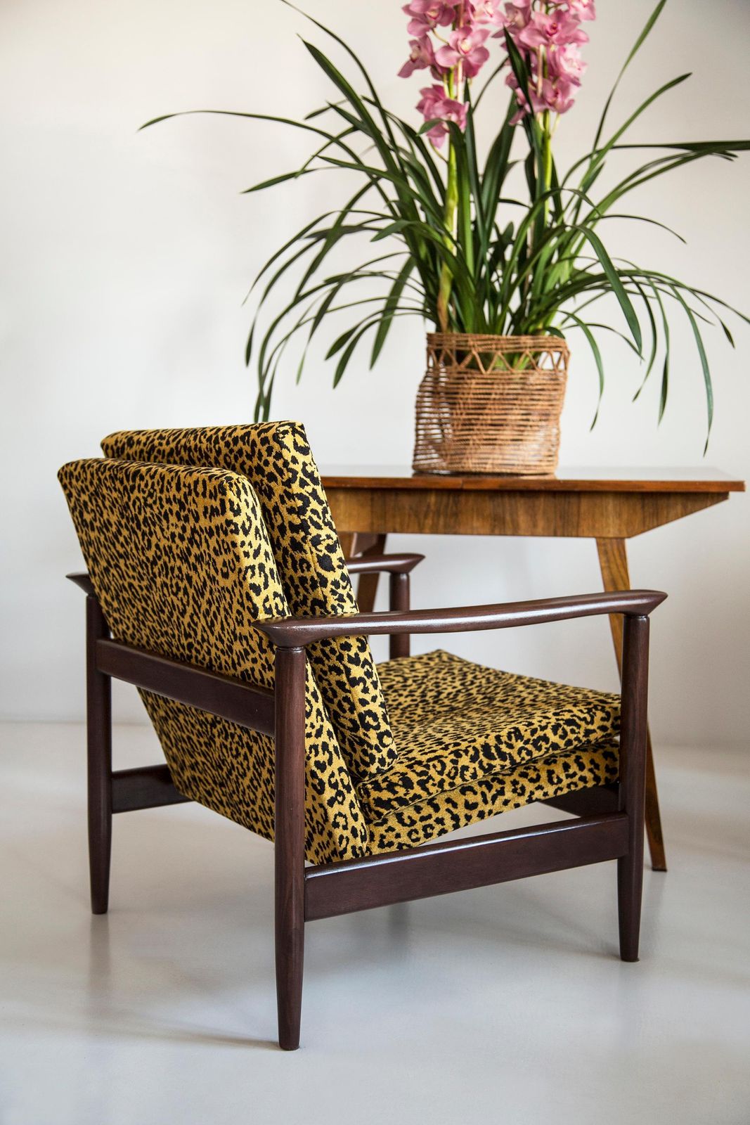 photo vinterior Mid Century Leopard Fauteuil, Gfm 142, Edmund Homa, Europa, Jaren 1960