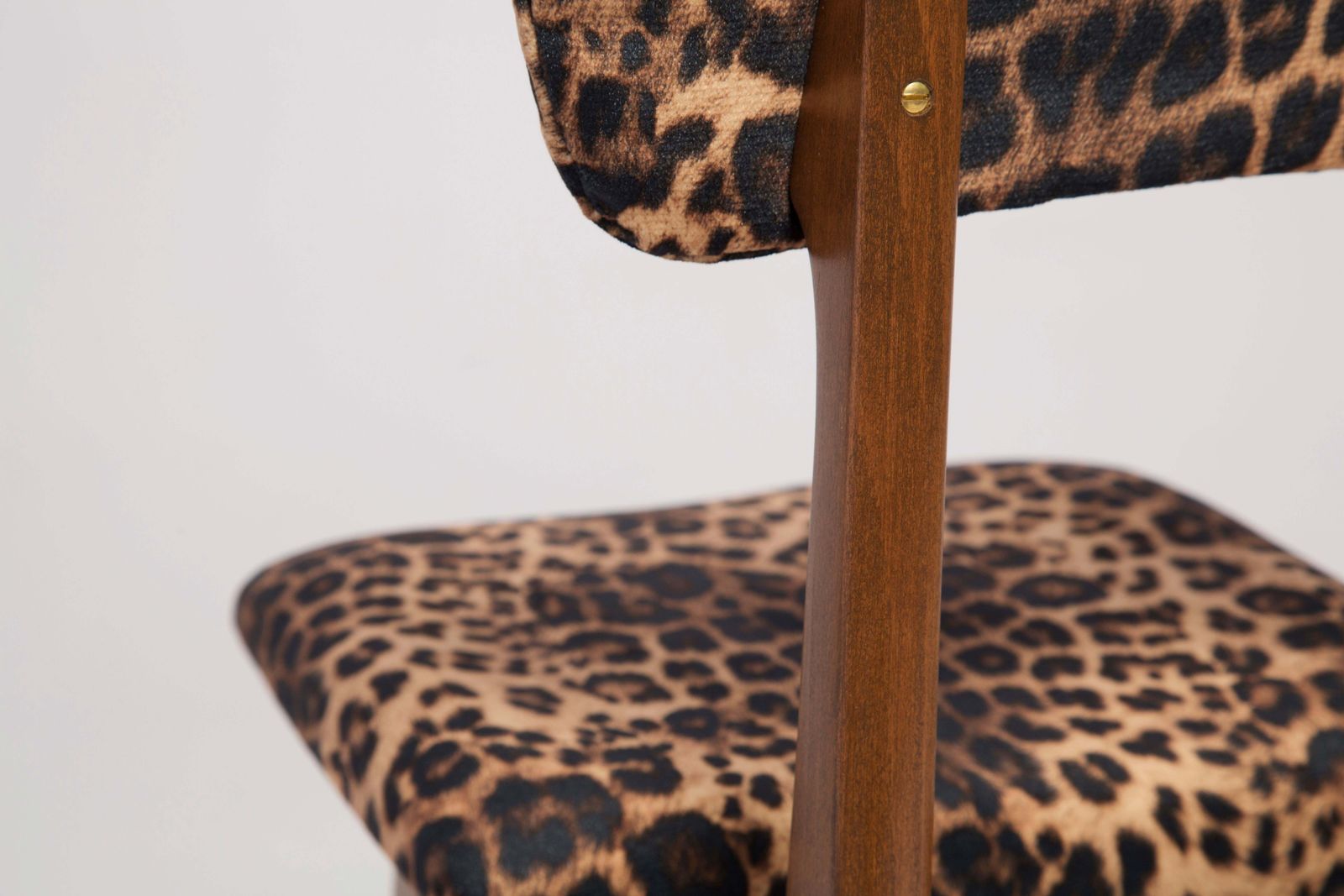 Six Mid Century Leopard Velvet Chairs, Walnut Wood, Rajmund Halas, Poland, 1960s photo vintage