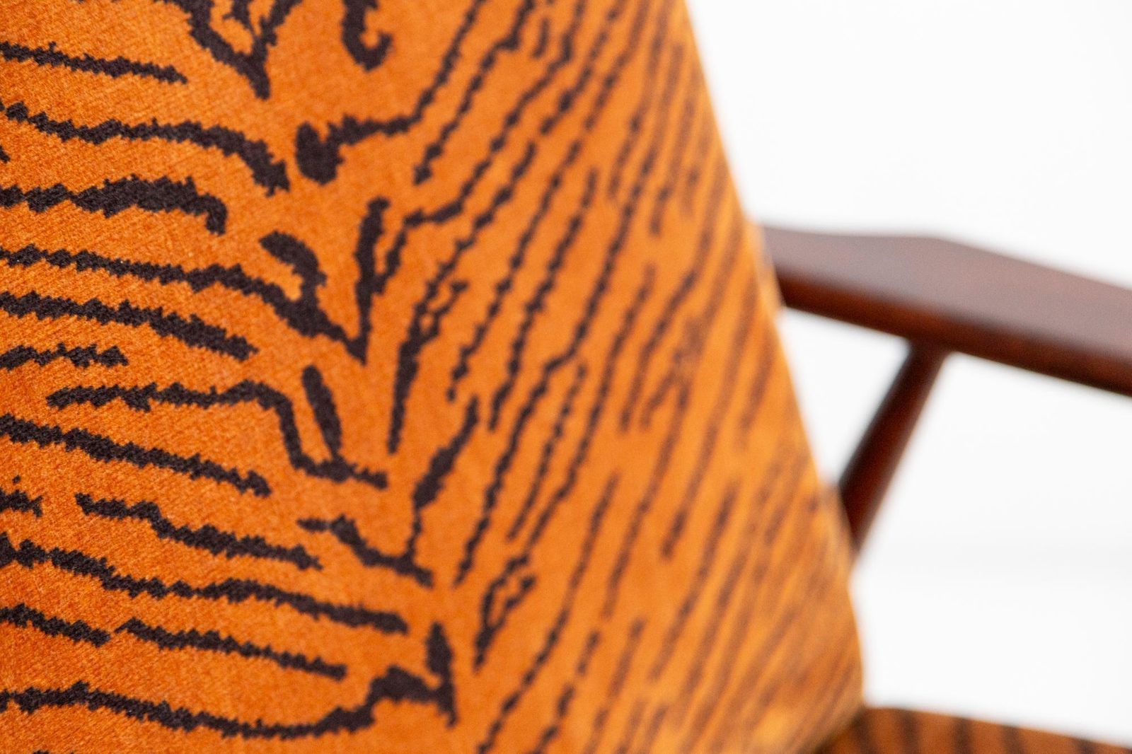 photo vinterior Mid Century Dedar Tiger Velvet Dante Armchair, H. Lis, Europe, 1960s