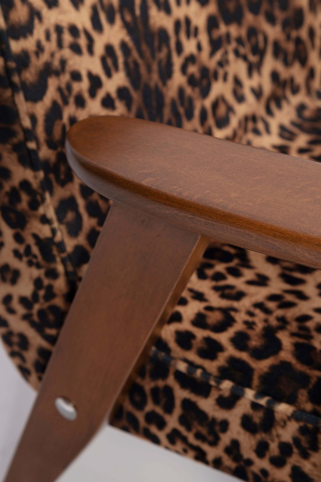 Two Mid Century 366 Armchairs In Leopard Print Velvet, Jozef Chierowski, 1960s photo vinterior