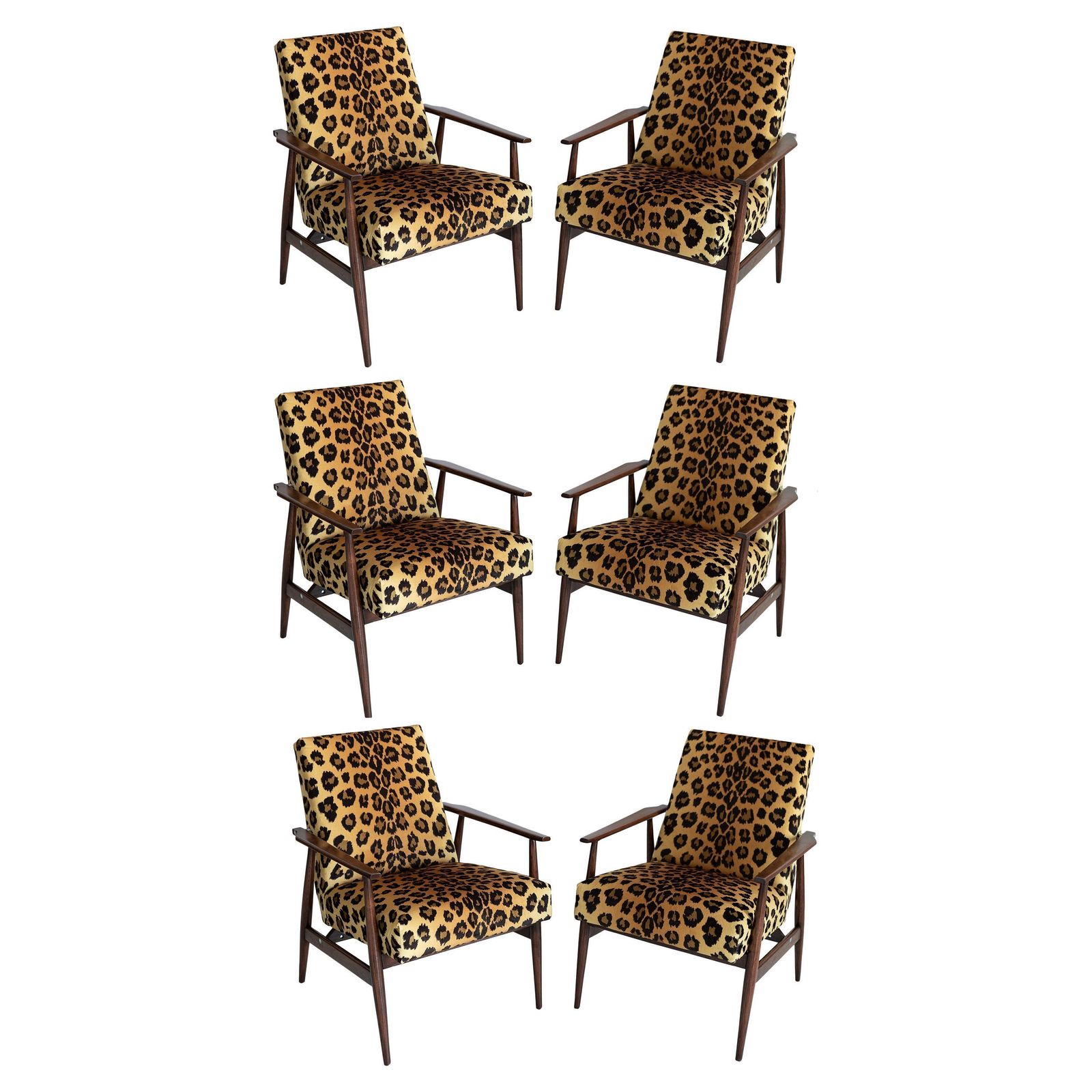 Set Van Zes Mid Century Dante Fauteuils Met Luipaardprint Fluweel, H. Lis, Jaren 1960