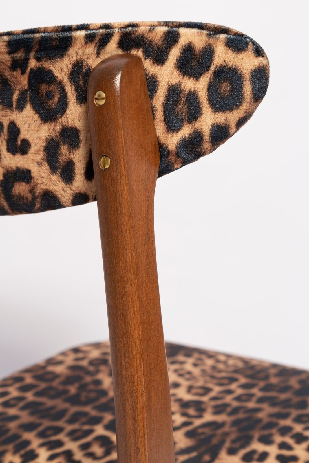 Six Mid Century Leopard Velvet Chairs, Walnut Wood, Rajmund Halas, Poland, 1960s photo vintage
