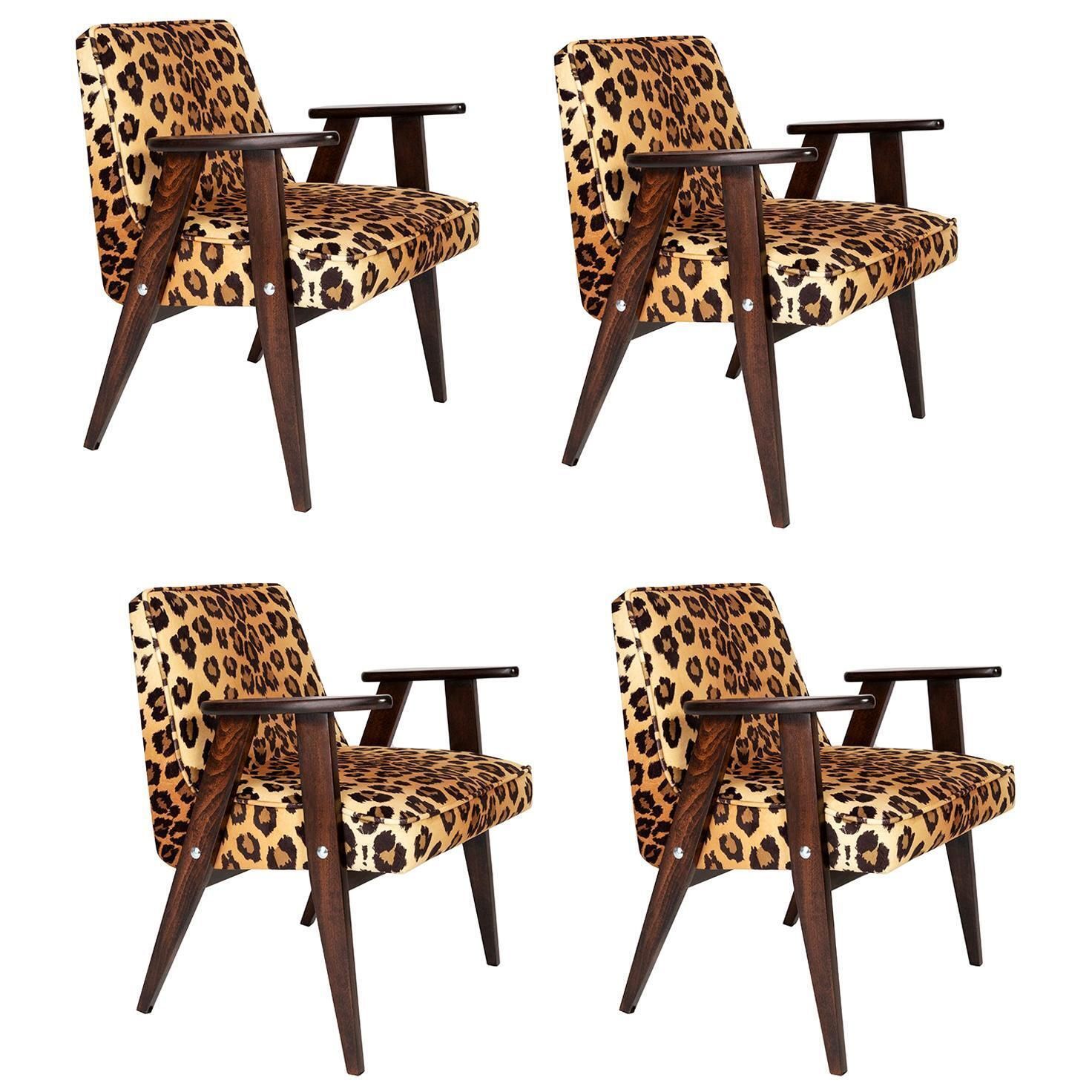 Four Midcentury 366 Armchairs In Leopard Print Velvet, Jozef Chierowski, 1960s