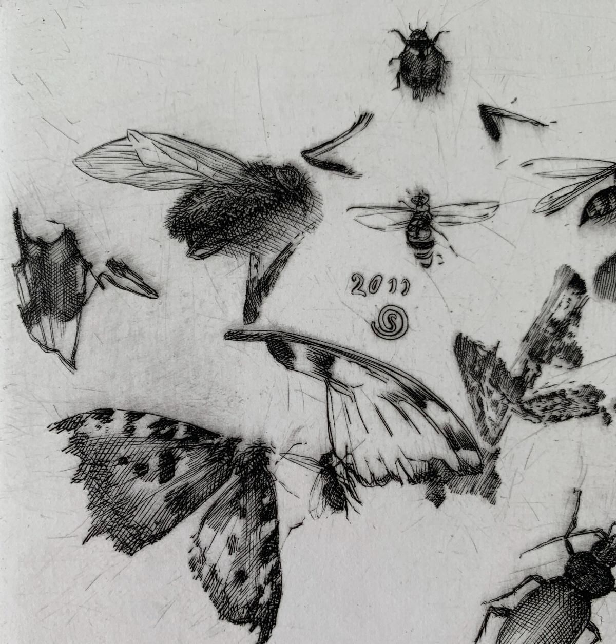 Krzysztof Skorczewskiinsects   21st Century Figurative Copperplate Print Black & White2011 photo Art