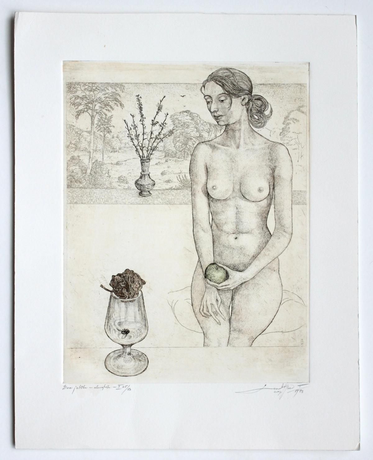 Leszek Rózgatwo Apples   XX Century Figurative Etching Print, Nude, Landscape1973 photo furniture