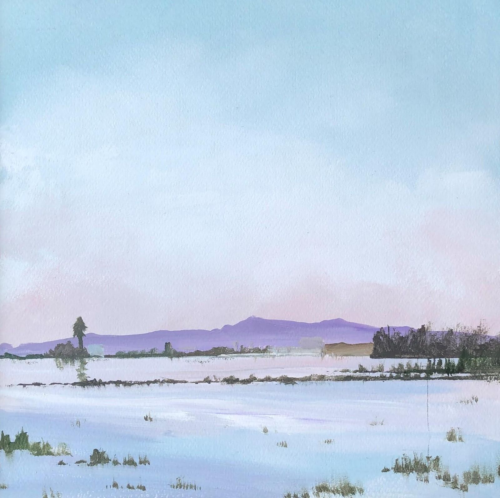Alberto Biesok Pink Mountain Acrylic Paint On Board Landscape 2020