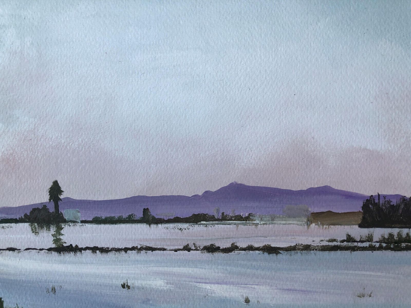 Alberto Biesok Pink Mountain Acrylic Paint On Board Landscape 2020 photo buy