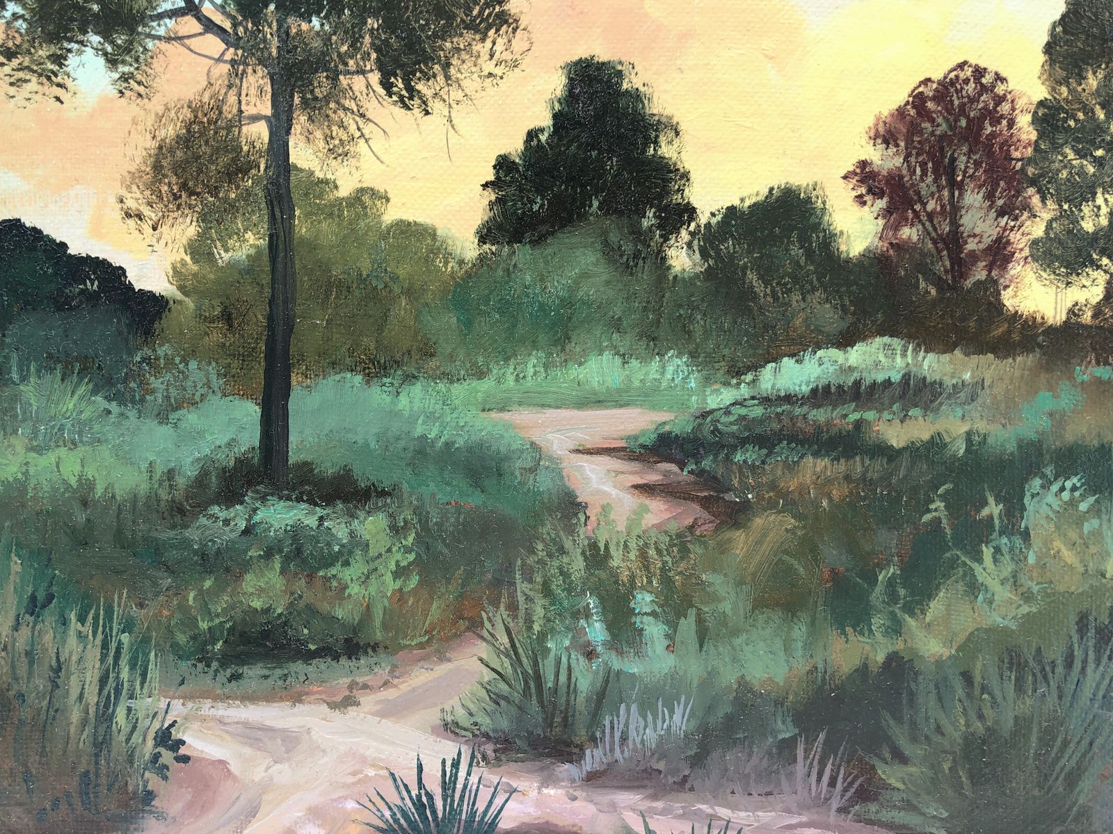 Alberto Biesok Mediterranean Sunset Forest Landscape Oil Painting Spanish Impressionist Style 2019 photo vinterior