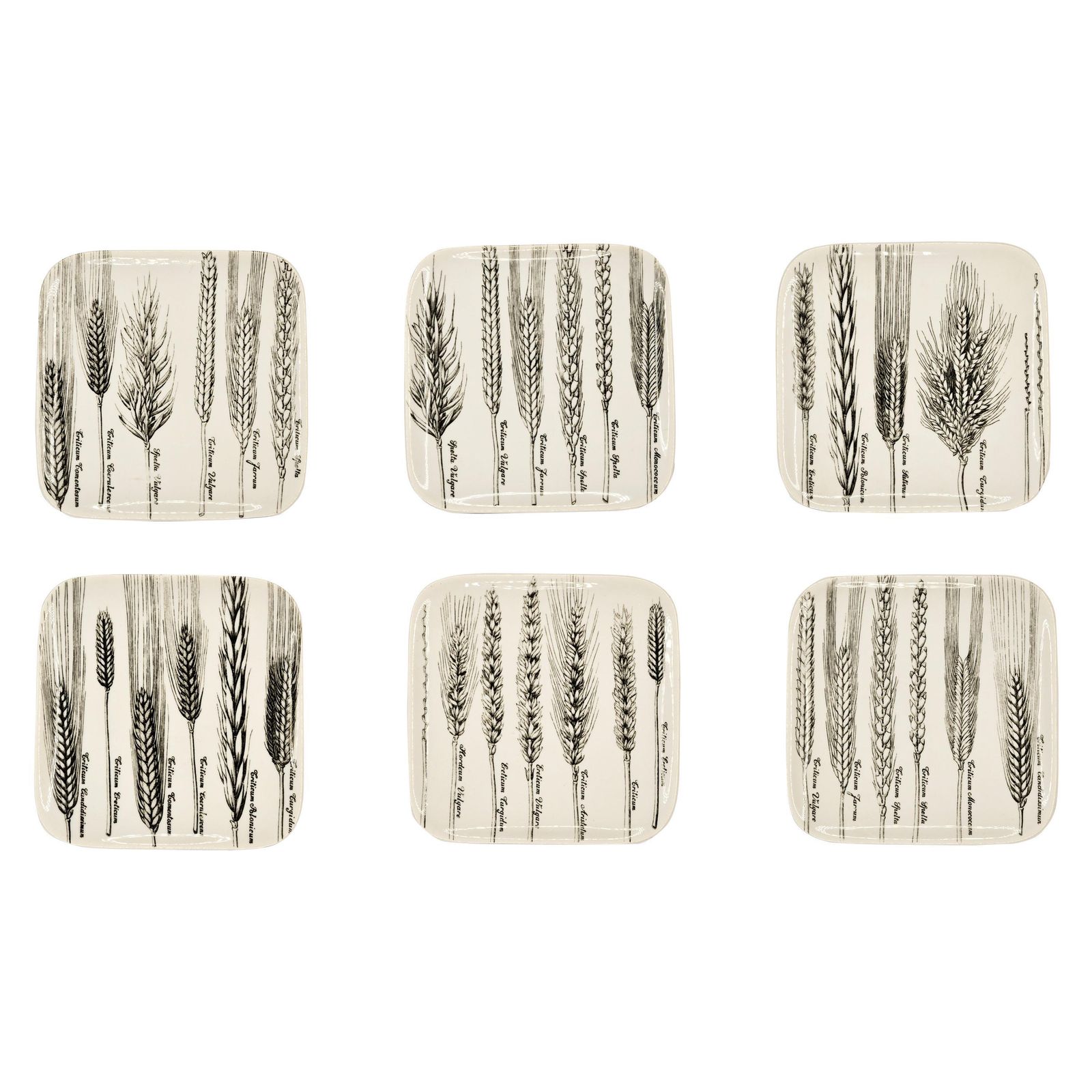 Six Dishes "Serie Spighe" 'Spikes Series' By Piero Fornasetti, 1960s