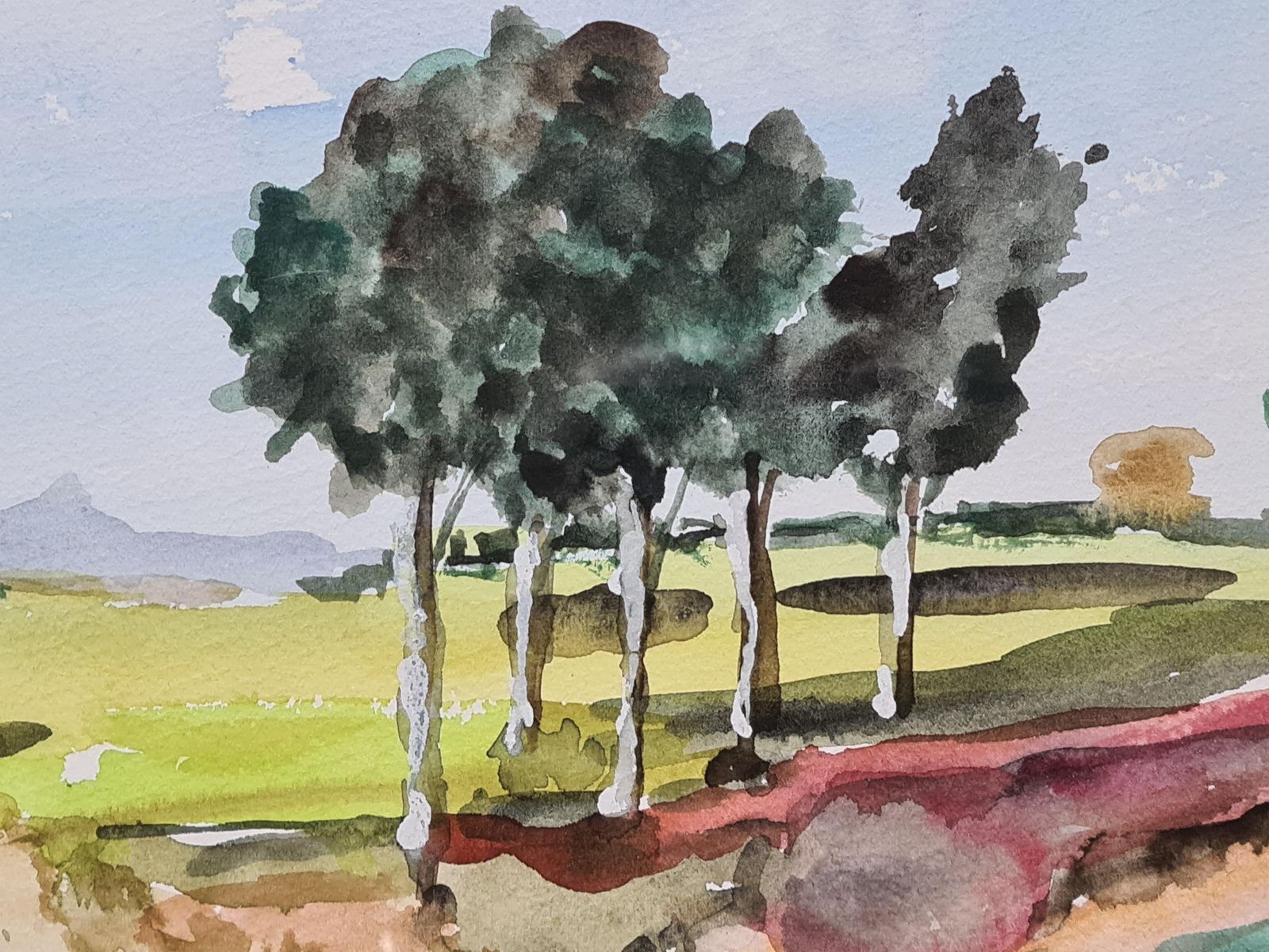 Roger Decauxtrees In A French Country Landscape. Watercolor. photo Art