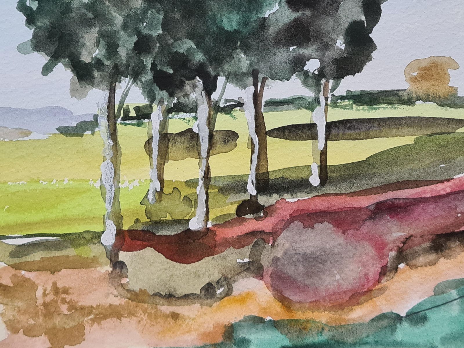 Roger Decauxtrees In A French Country Landscape. Watercolor. photo vinterior