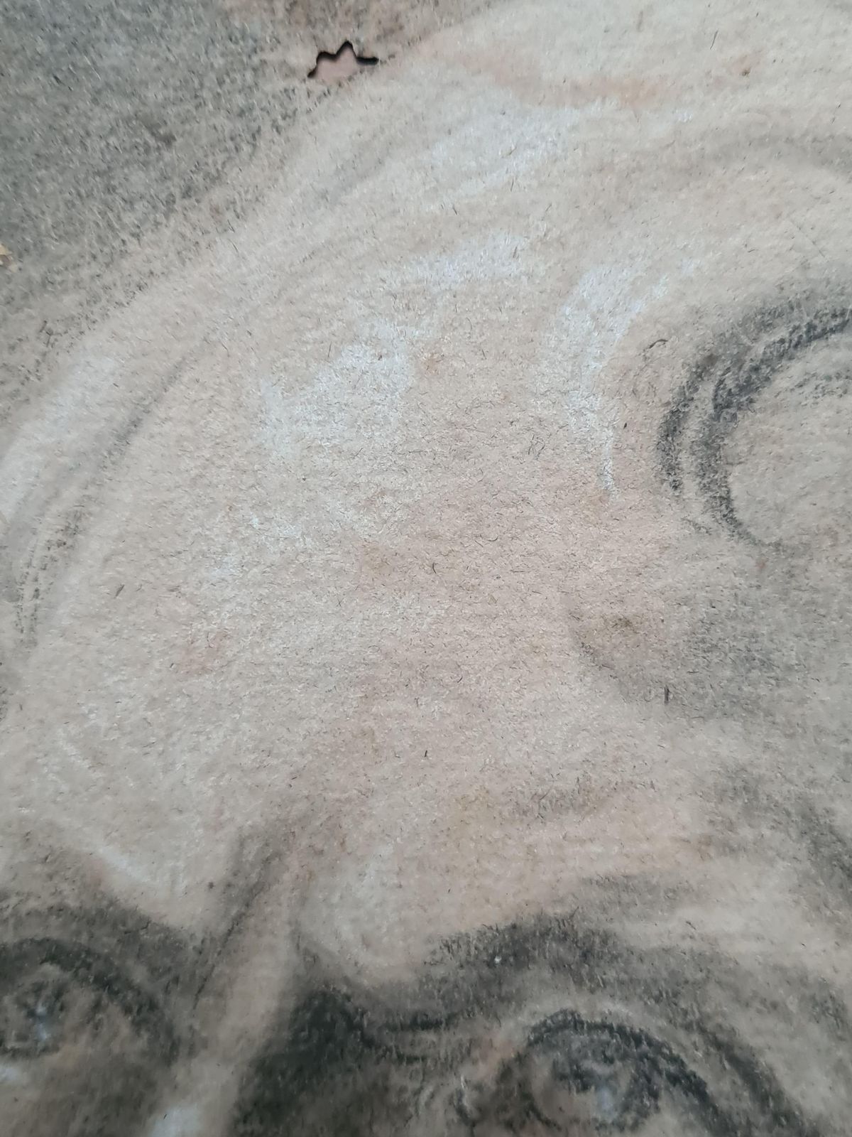 19th Century Academic Crayon On Paper Study By Follower Of Jacques Louis David photo Art
