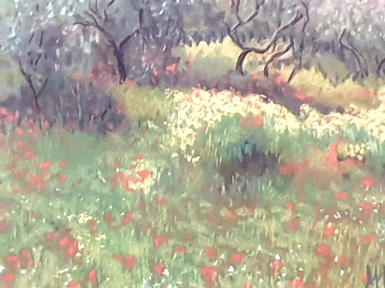 Miranda Mcarthur Olive Grove And Poppies, Contemporary Impressionist Pastel On Paper.2022 photo Art