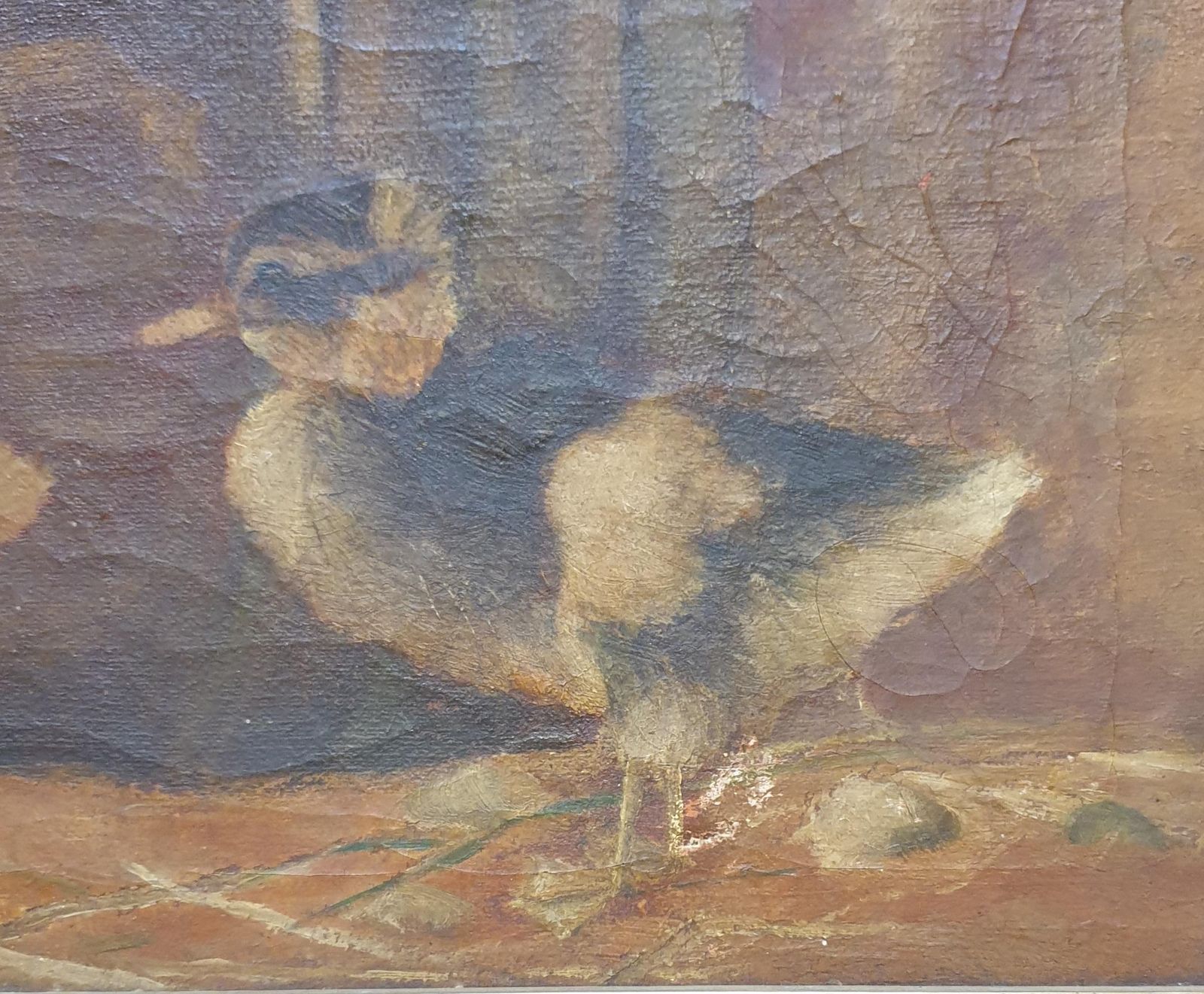 Unknown'the Ducklings'. Late 19th Century Oil On Canvas.1890s photo for sale
