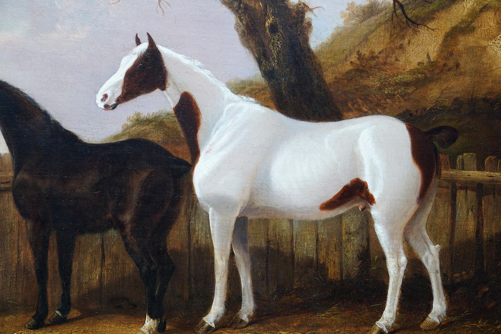 Portrait Of Two Horses In A Landscape   British 19thc Equine Art Oil Painting1840 photo vinterior
