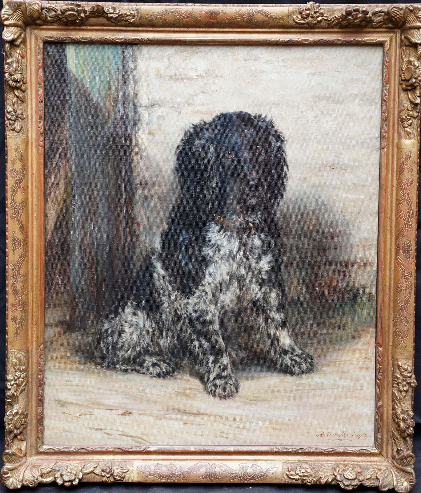 7652.0 Robert Morleyportrait Of A Spaniel   British Edwardian Art Dog Portrait Oil Painting Circa 1910 photo