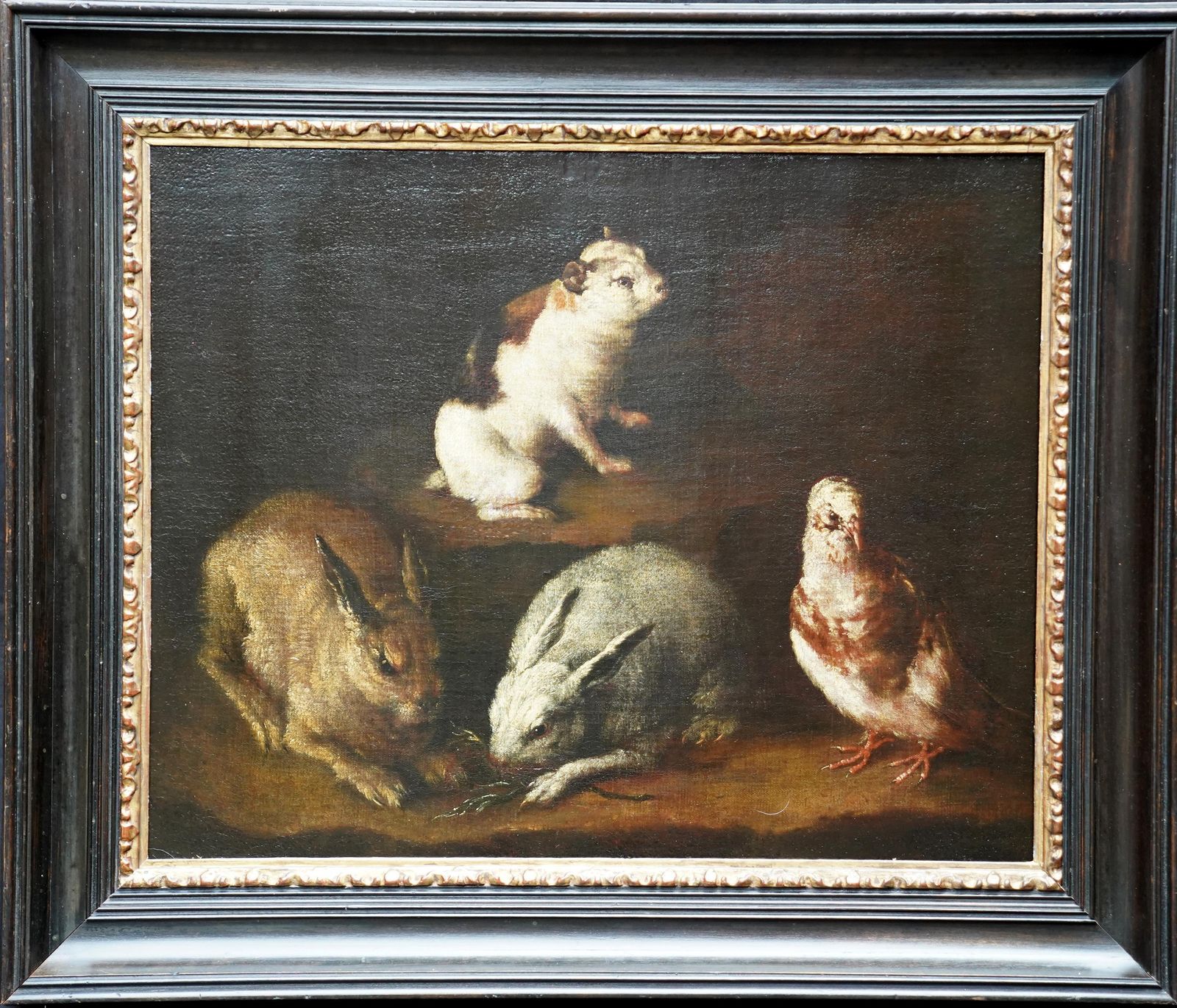 Rabbits Dove And Guinea Pig In An Interior   Italian Old Master Art Oil Paintingcirca 1650