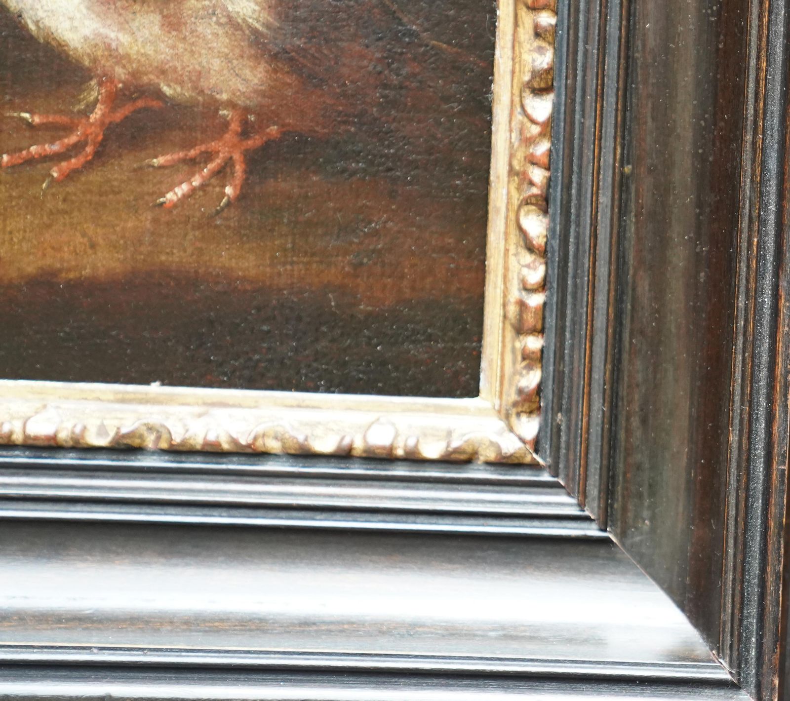 Rabbits Dove And Guinea Pig In An Interior   Italian Old Master Art Oil Paintingcirca 1650 photo vintage