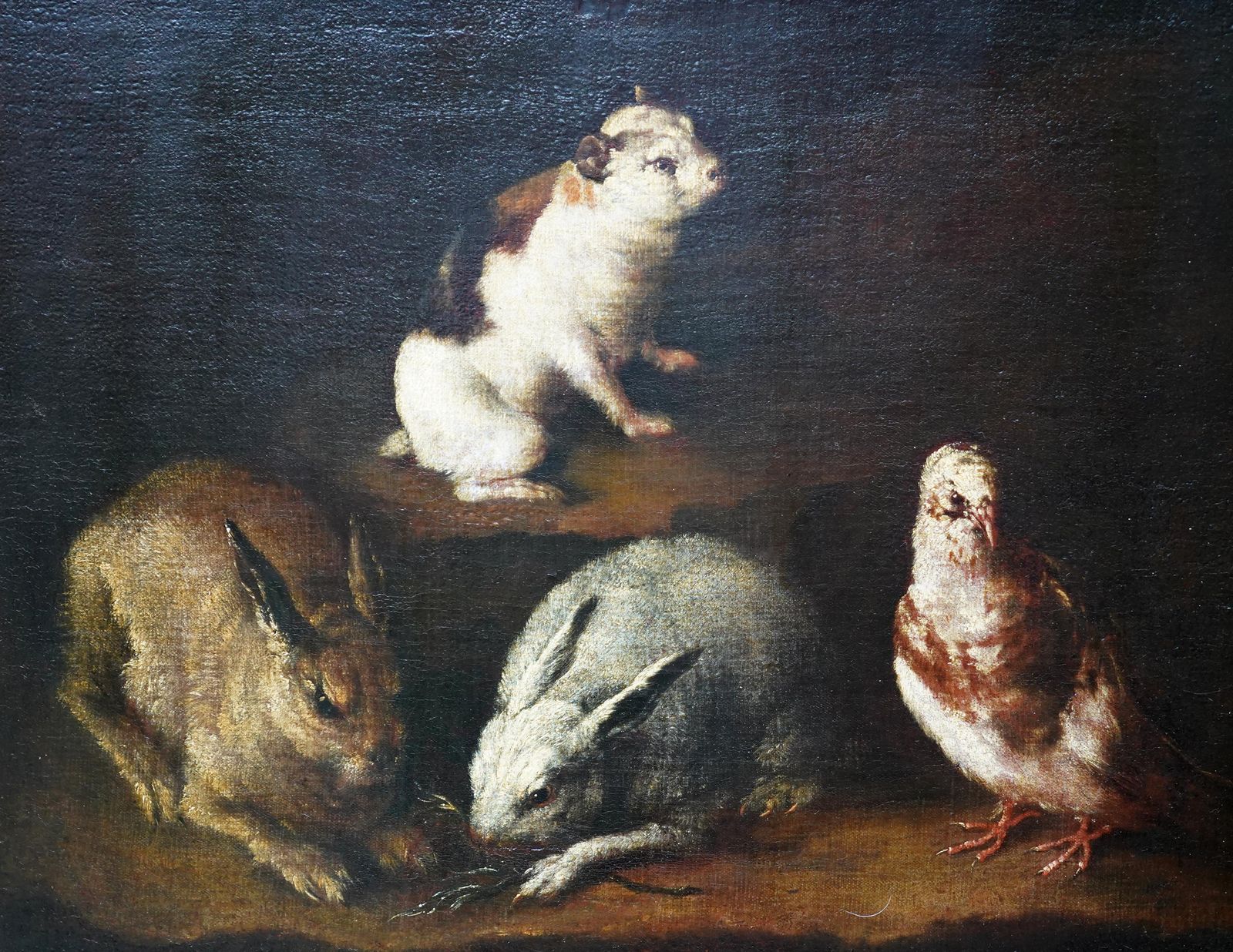 photo furniture Rabbits Dove And Guinea Pig In An Interior   Italian Old Master Art Oil Paintingcirca 1650