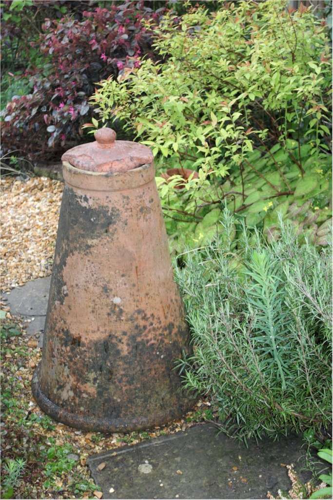 Antique Garden Terracotta Rhubarb Forcer photo furniture