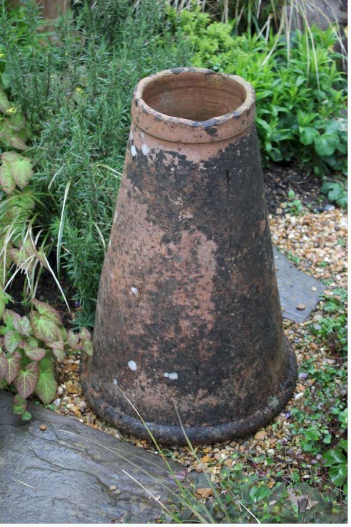 Antique Garden Terracotta Rhubarb Forcer photo Home Decor