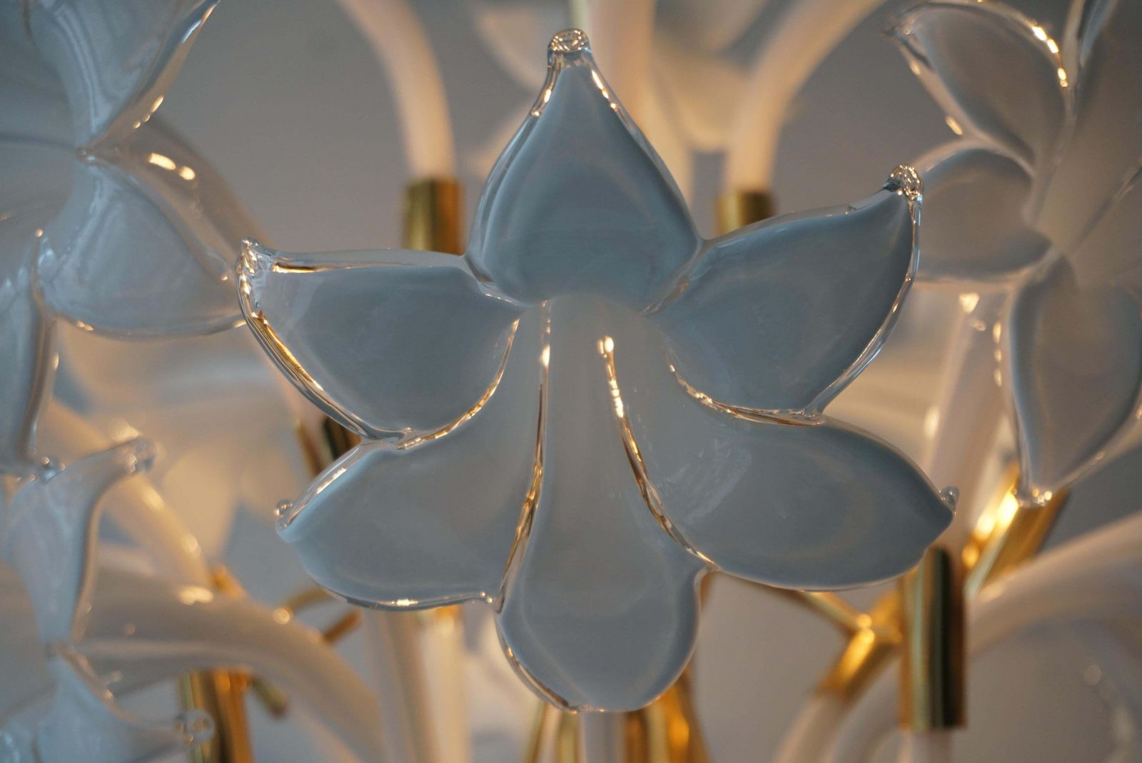 photo for sale Mid Century Modern Chandelier Designed By Franco Luce With Murano Glass Flowers