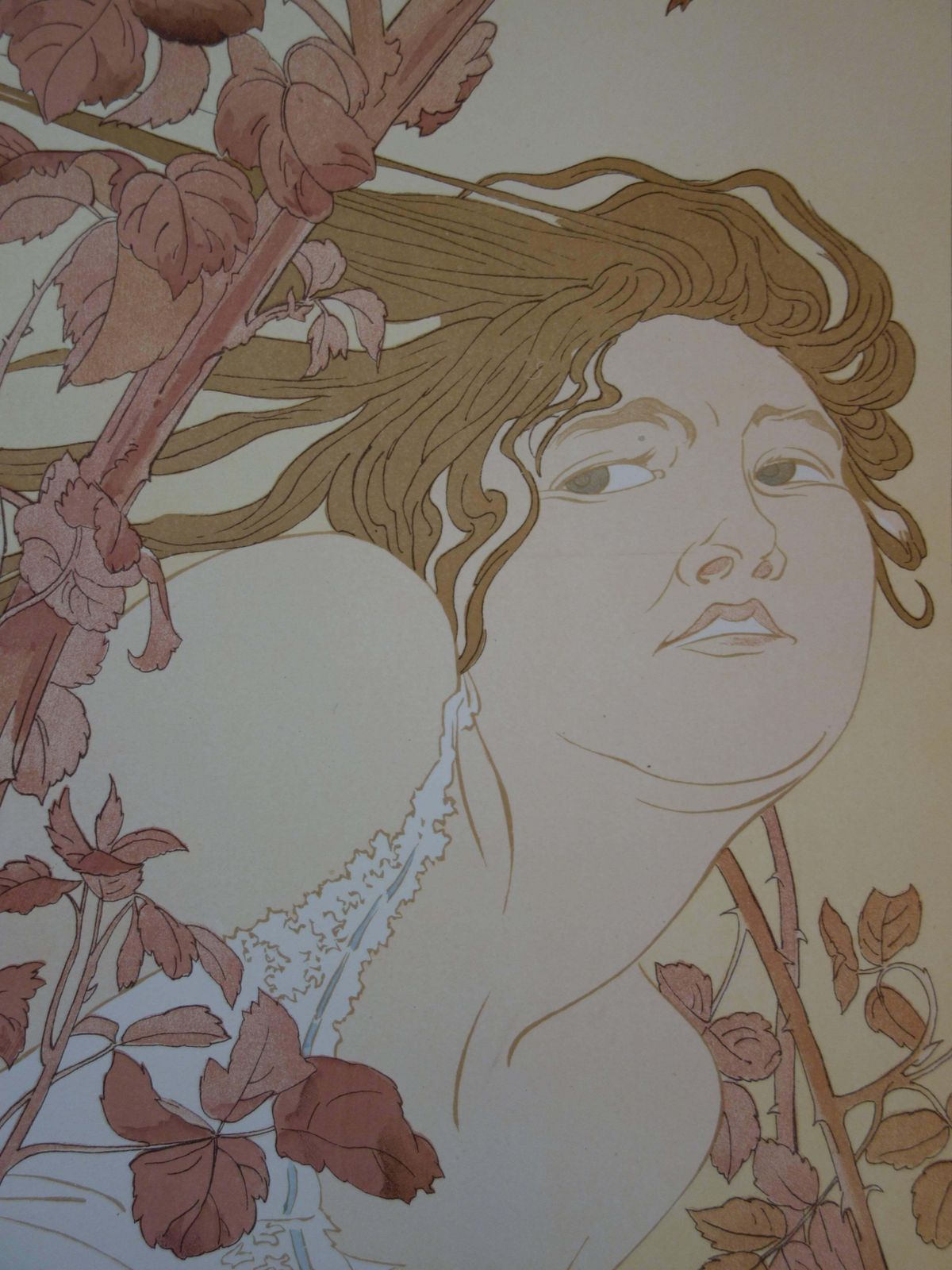 Henry Detouchein The Brambles   Original Lithograph   18971897 photo Art