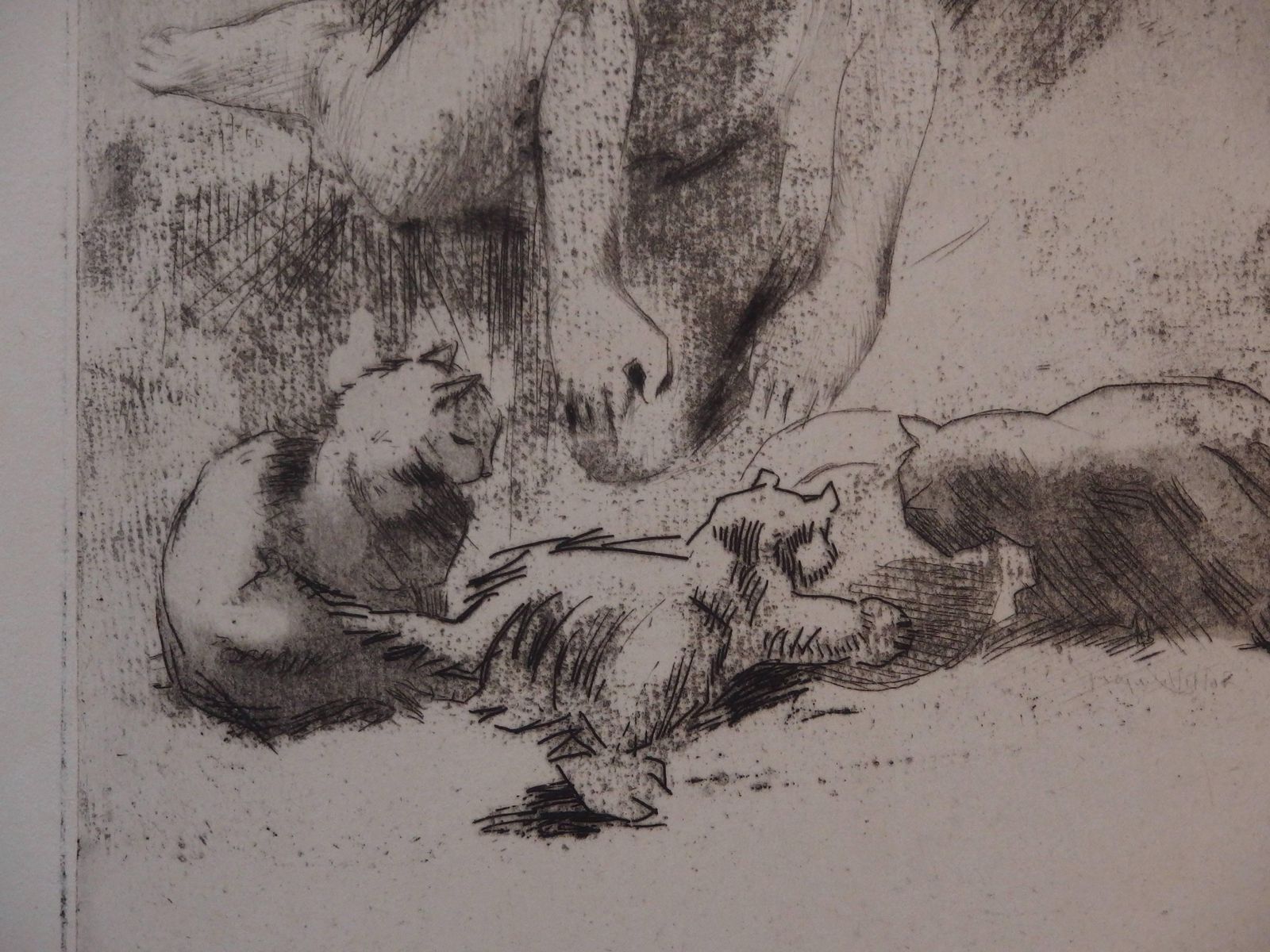 Jacques Villonyoung Girl With The Cats   Original Handsigned Etching   30 Copies1907 photo vinterior