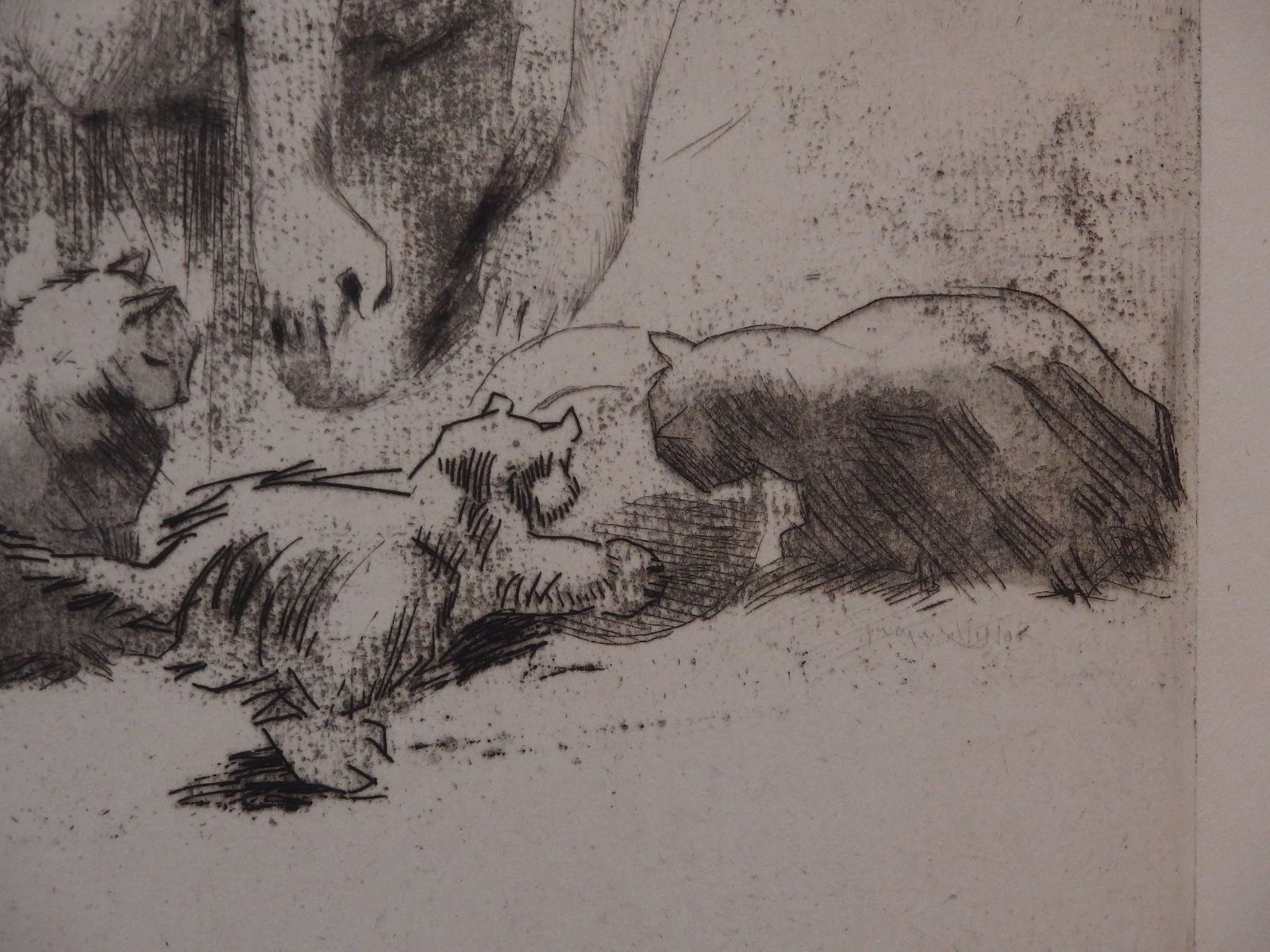 Jacques Villonyoung Girl With The Cats   Original Handsigned Etching   30 Copies1907 photo buy