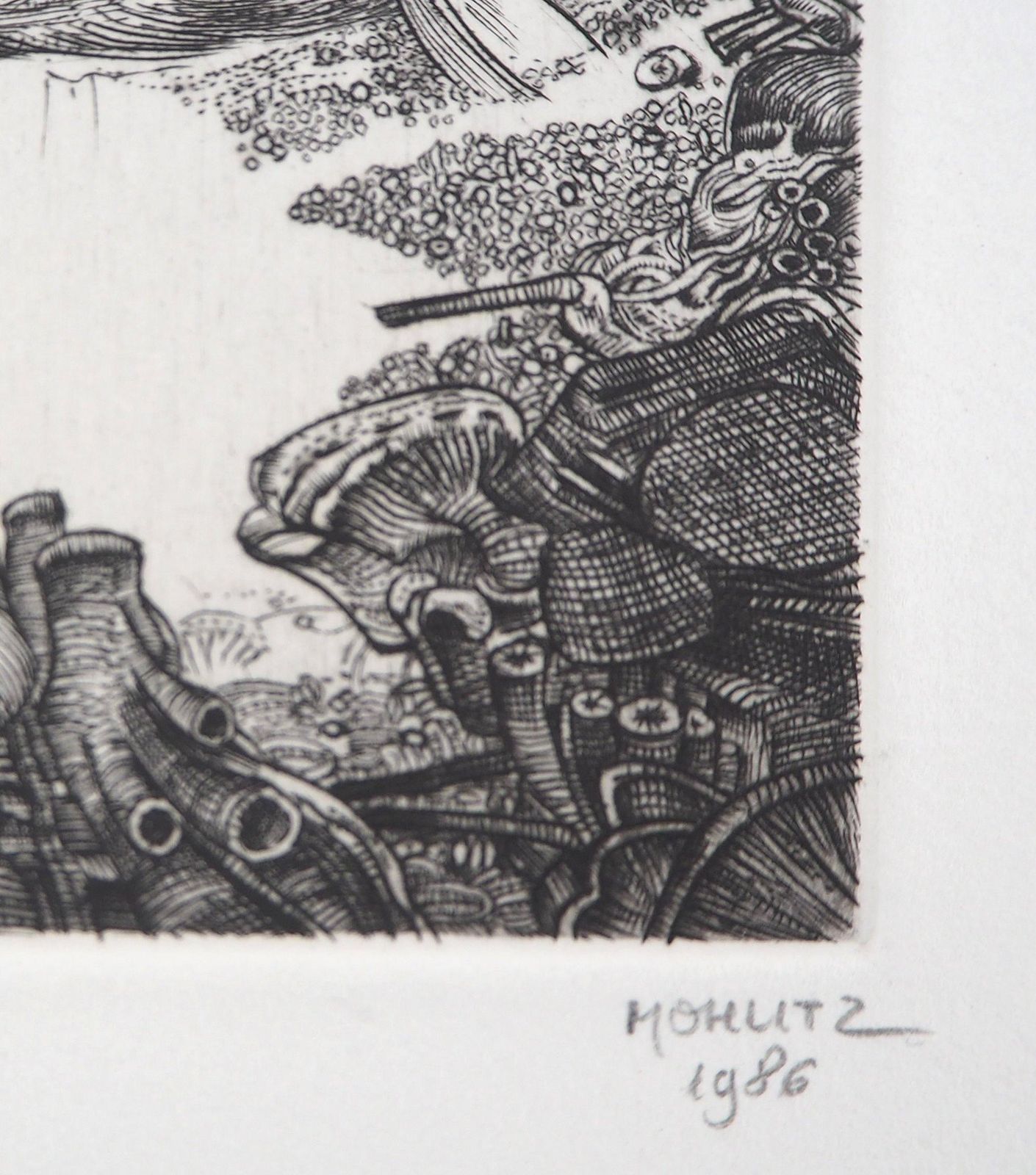 Philippe Mohlitzsurrealist Wetlands, 1986   Original Handsigned Etching1986 photo furniture