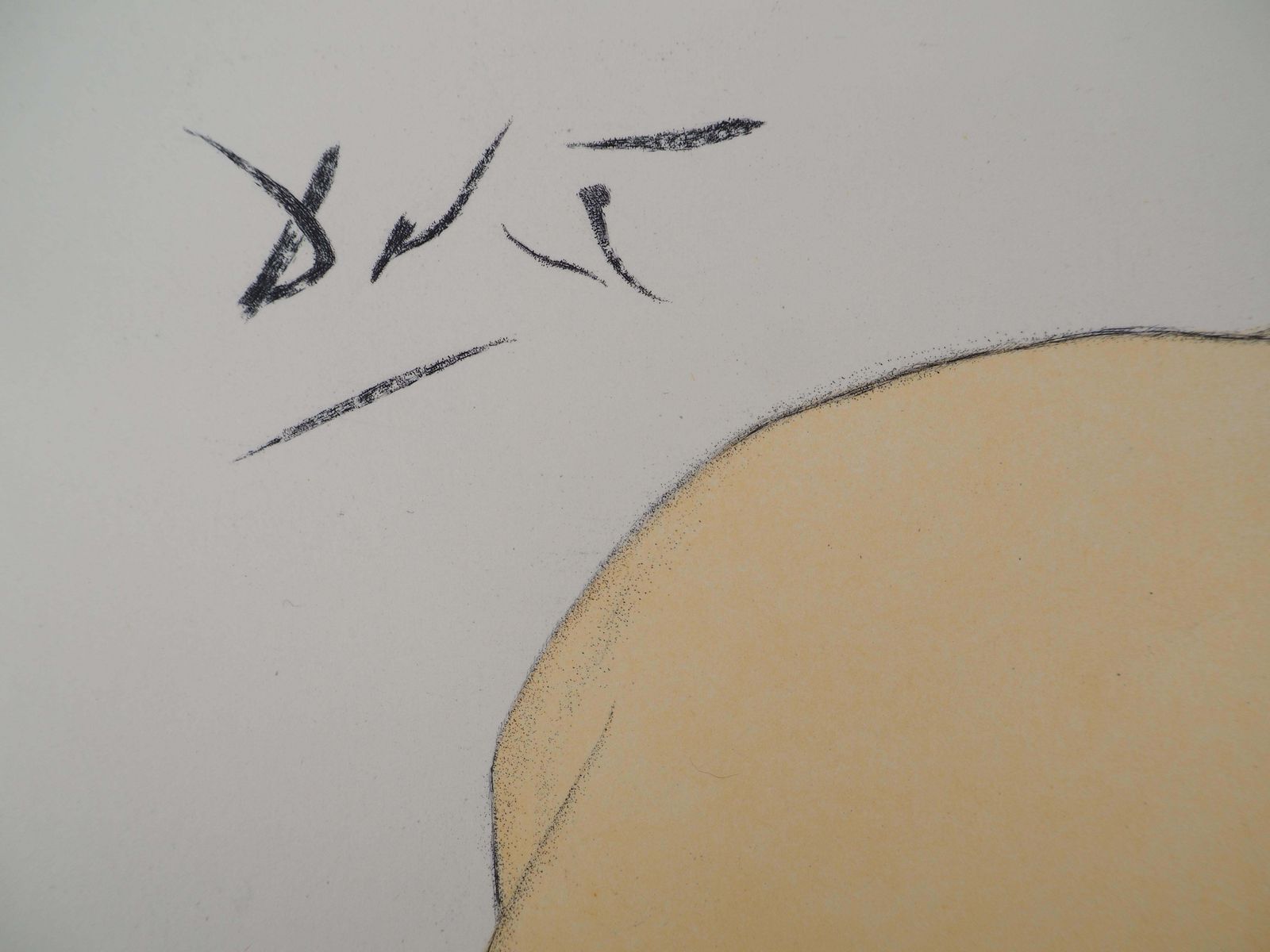 Salvador Dalí­Casanova : A Pear For Thirst   Original Etching (Field #67 4 I)1967 photo for sale