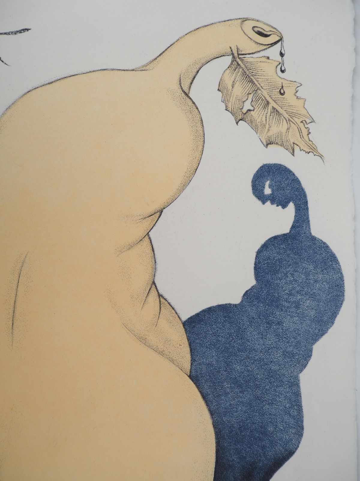 Salvador Dalí­Casanova : A Pear For Thirst   Original Etching (Field #67 4 I)1967 photo Art