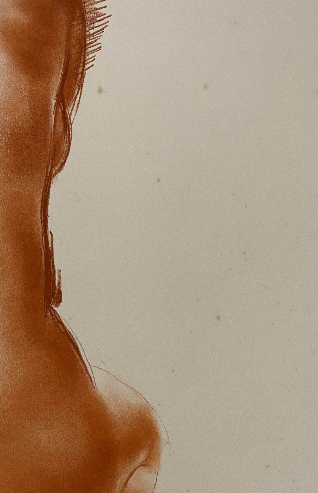 Antoniucci Voltisitted Nude   Original Handsigned Drawing In Sanguine photo vinterior