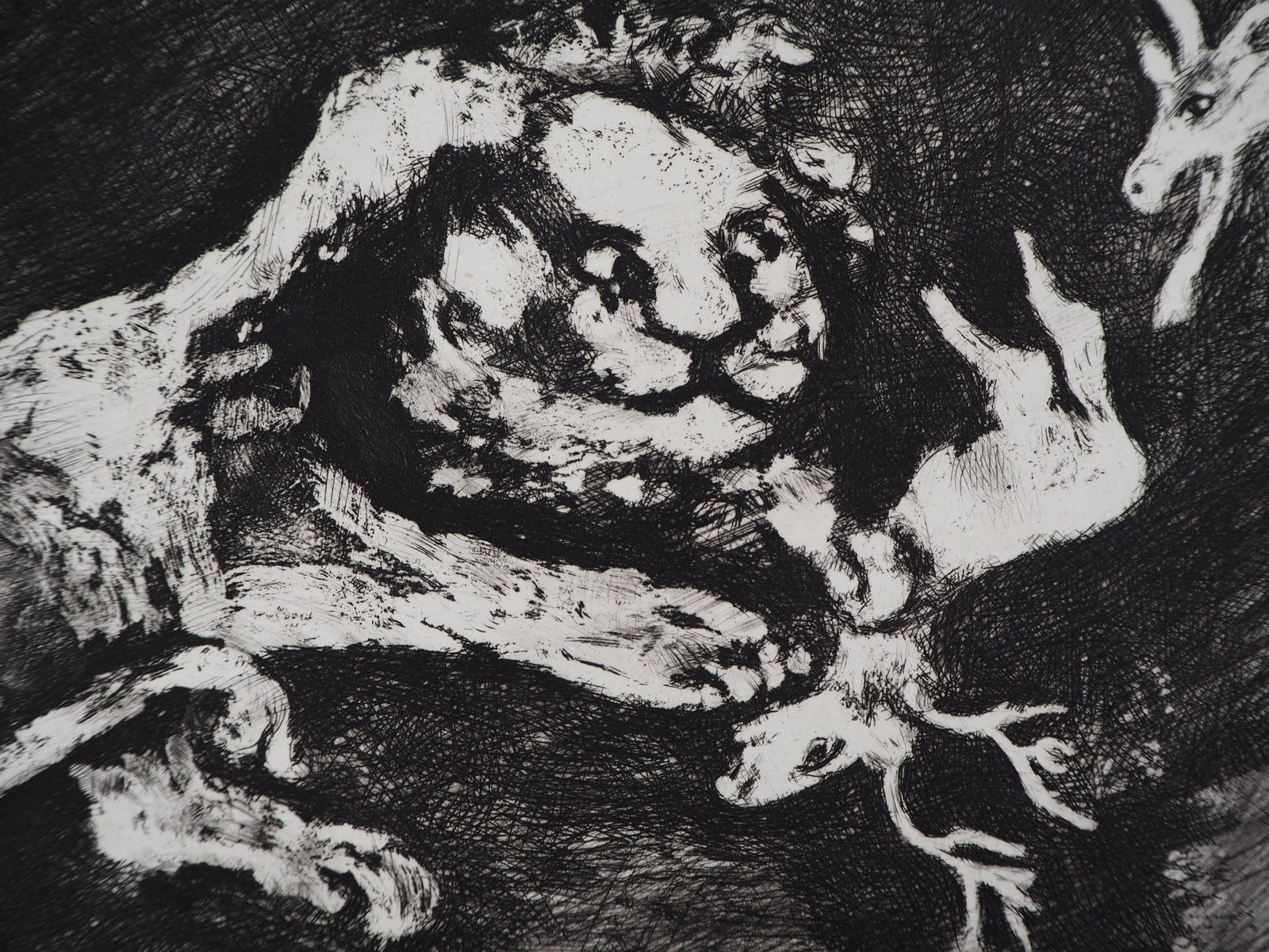 Marc Chagallthe Goats And The Lion   Original Etching   Ref. Sorlier #1981952 photo Art