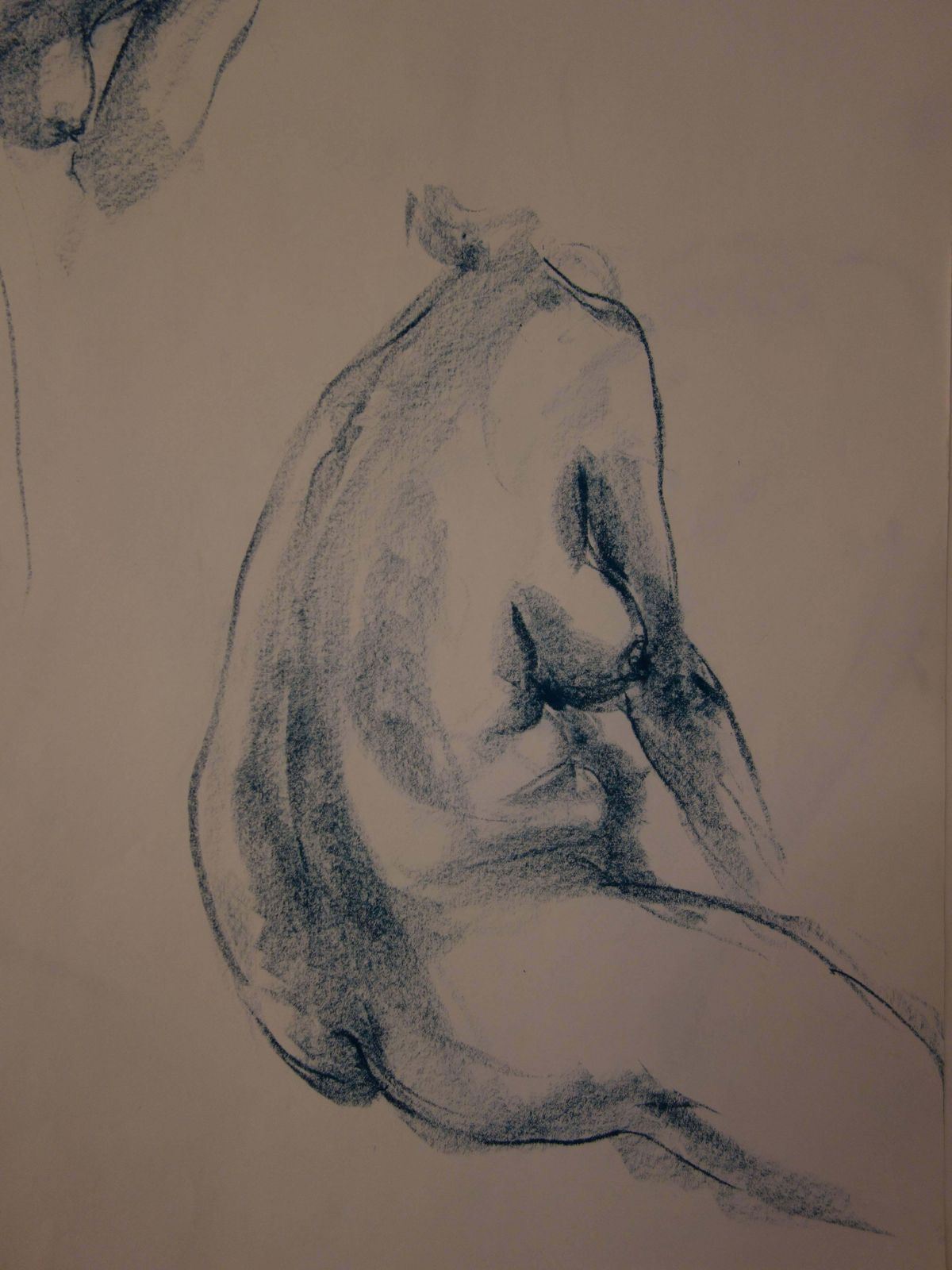 Gaston Coppenstwo Studies Of A Nude Profile   Original Signed Charcoals Drawing photo 297.0