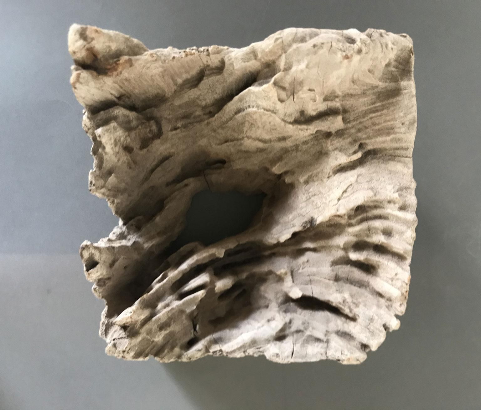 photo furniture Organic Modern Natural Wooden Hand Carved Abstract Sculpture Or Paperweights