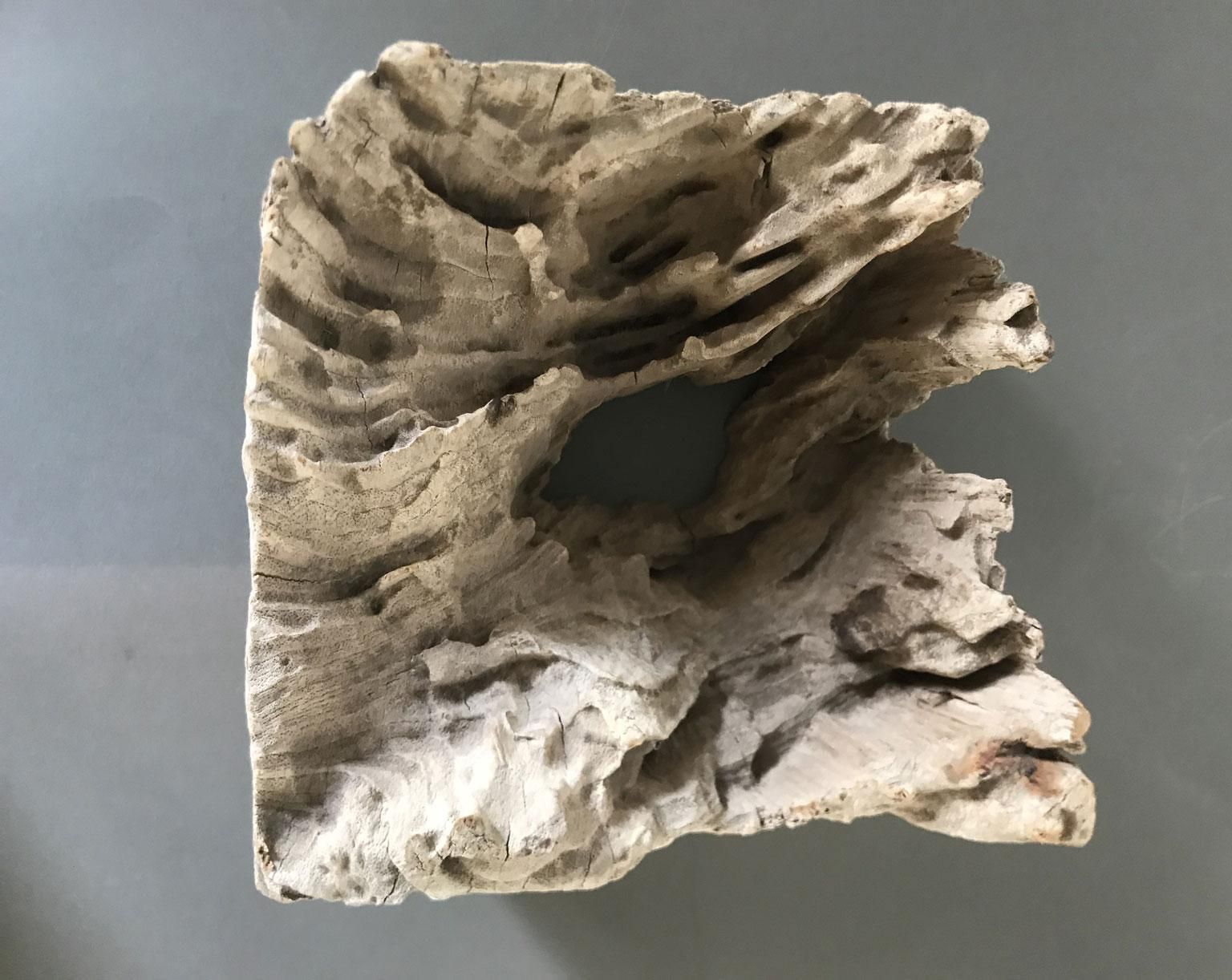 photo for sale Organic Modern Natural Wooden Hand Carved Abstract Sculpture Or Paperweights