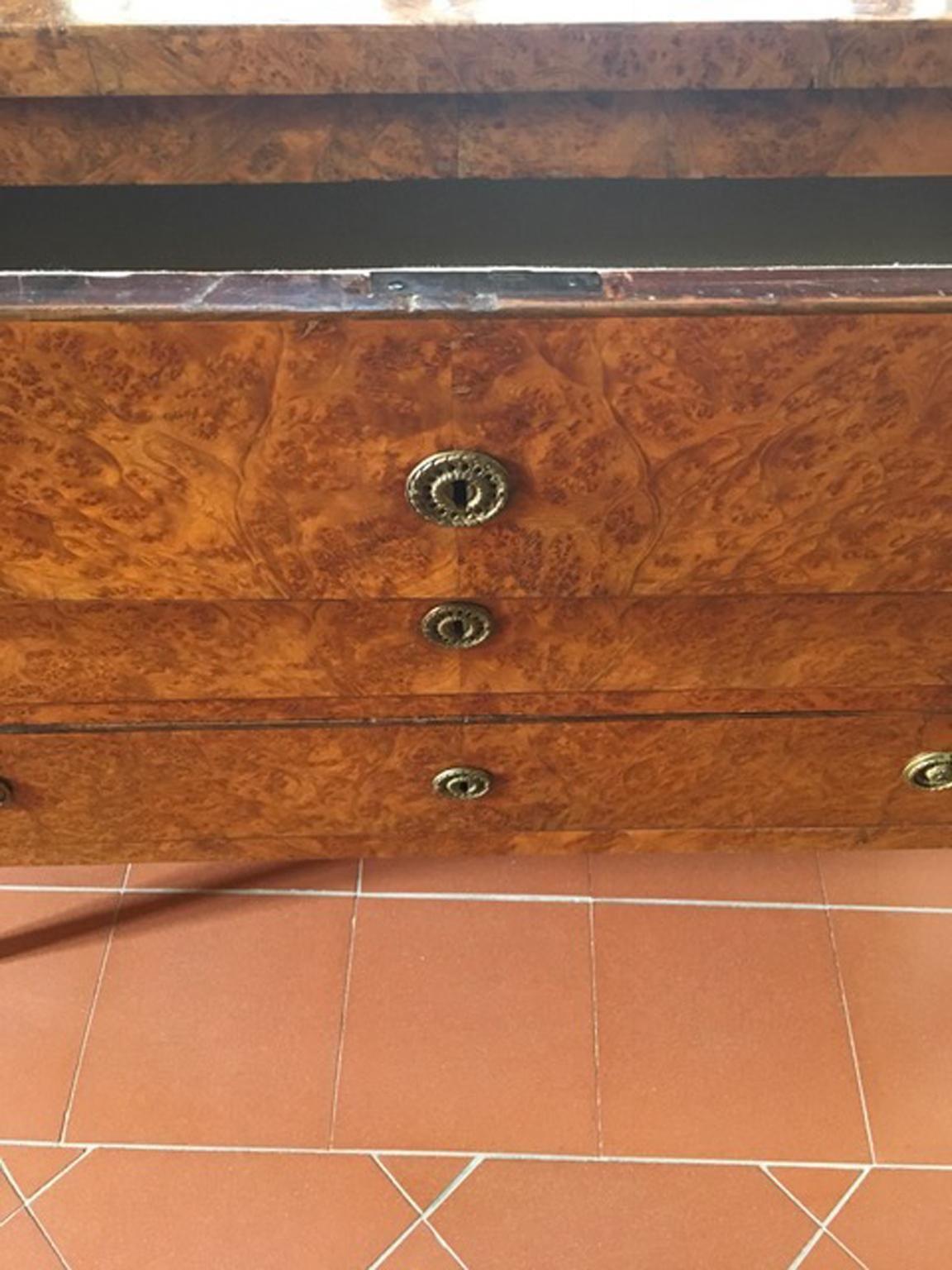 Italy Late 18th Century Regency Elmwood Root Chest Of Drawers photo 8329.0