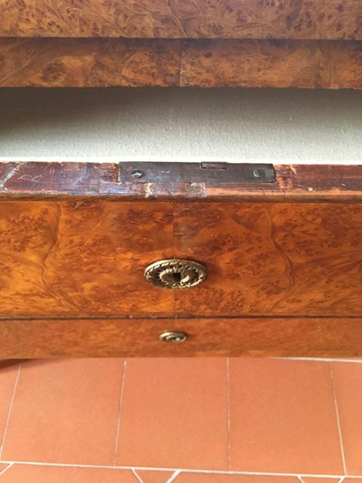 Italy Late 18th Century Regency Elmwood Root Chest Of Drawers photo vinterior
