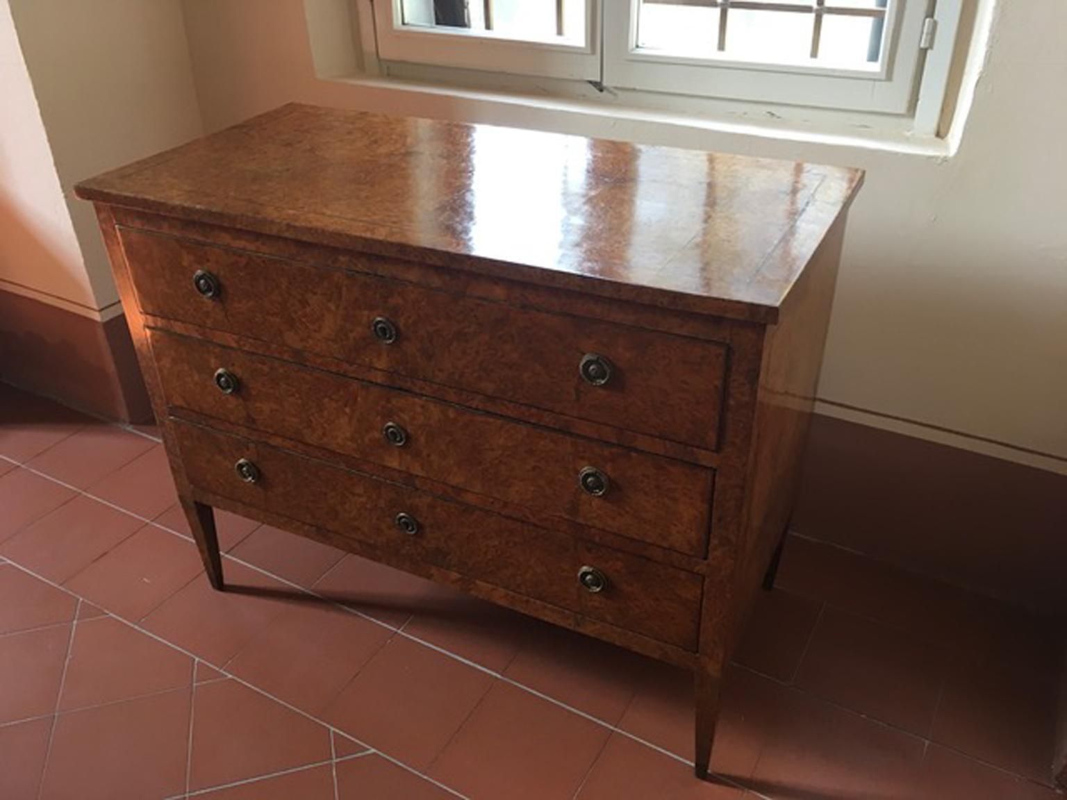 photo for sale Italy Late 18th Century Regency Elmwood Root Chest Of Drawers