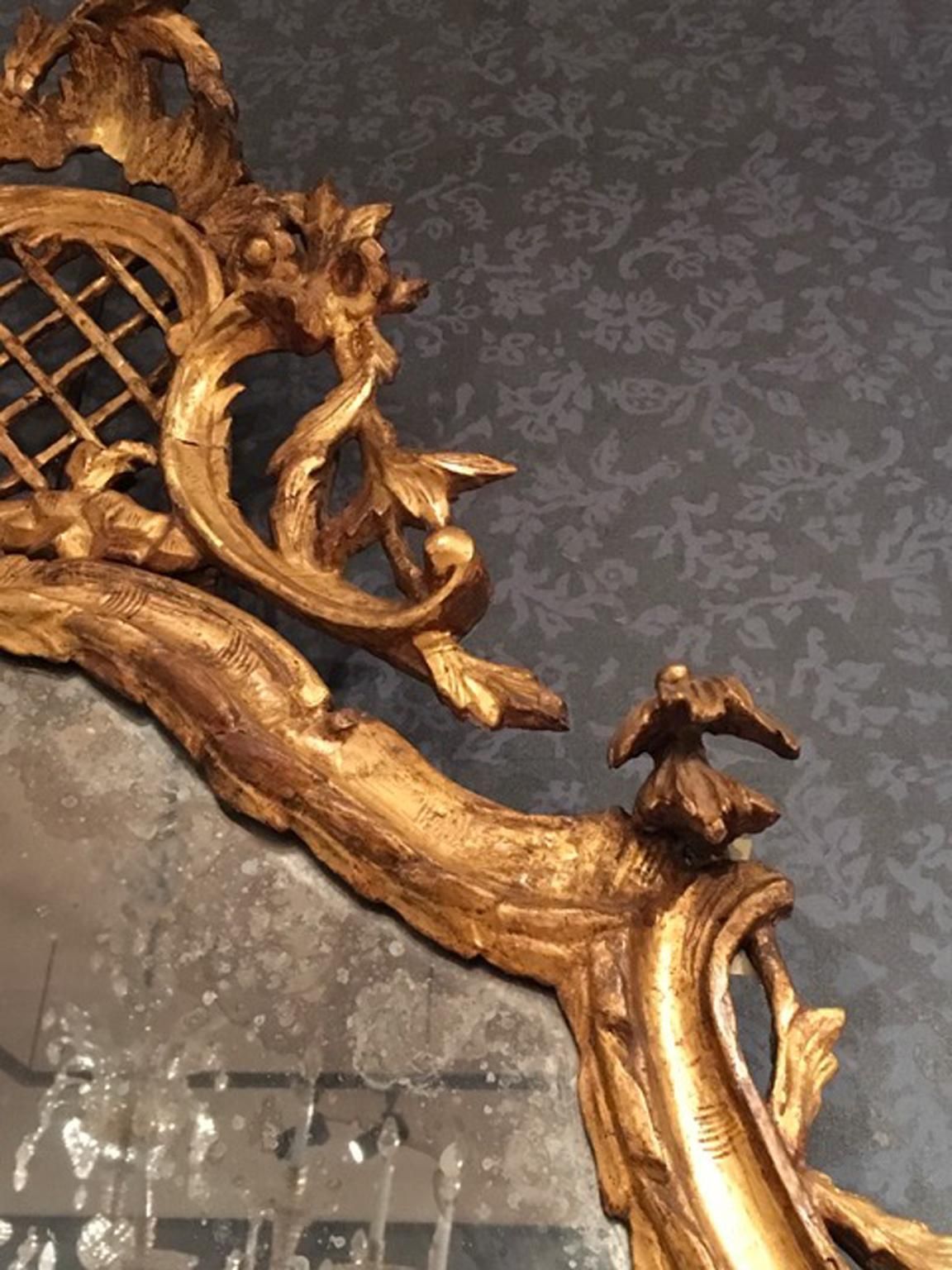 Venice Late 18th Century Baroque Golden Wood Mirror photo 23796.0