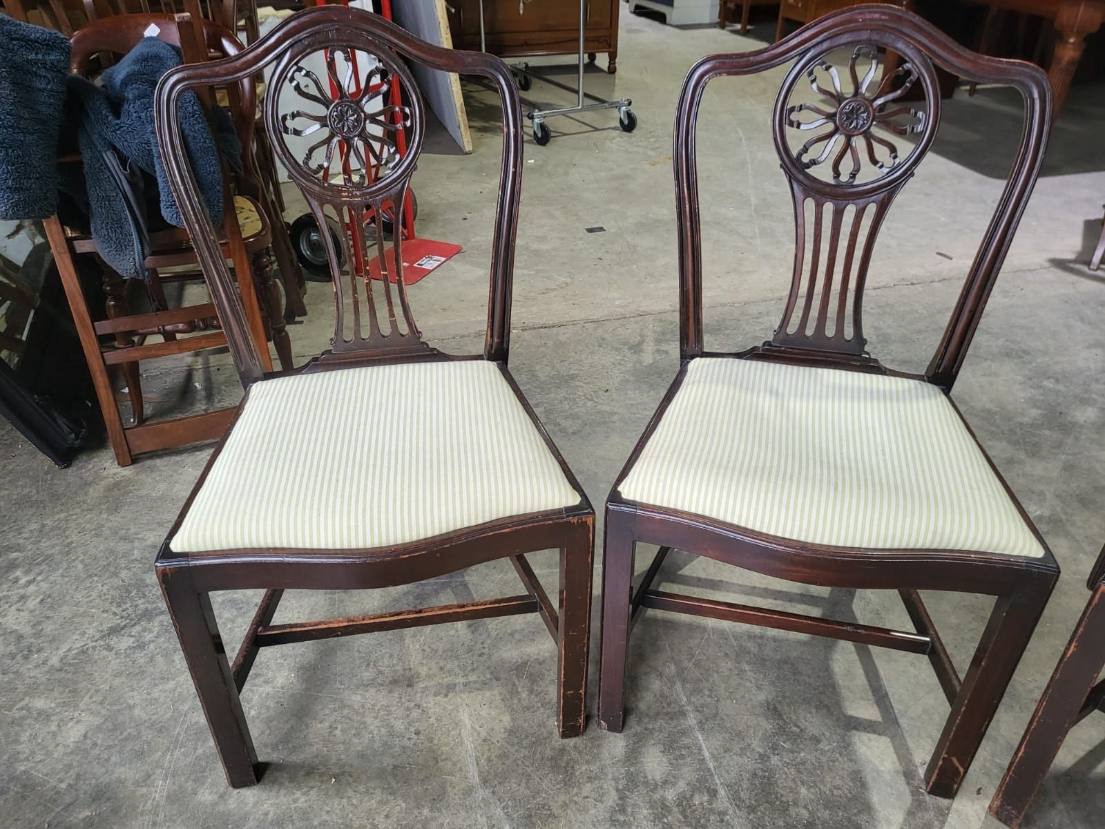 Six Antique Serpentine Georgian? Mahogany Dining Chairs Slat Back Carvers photo Furniture