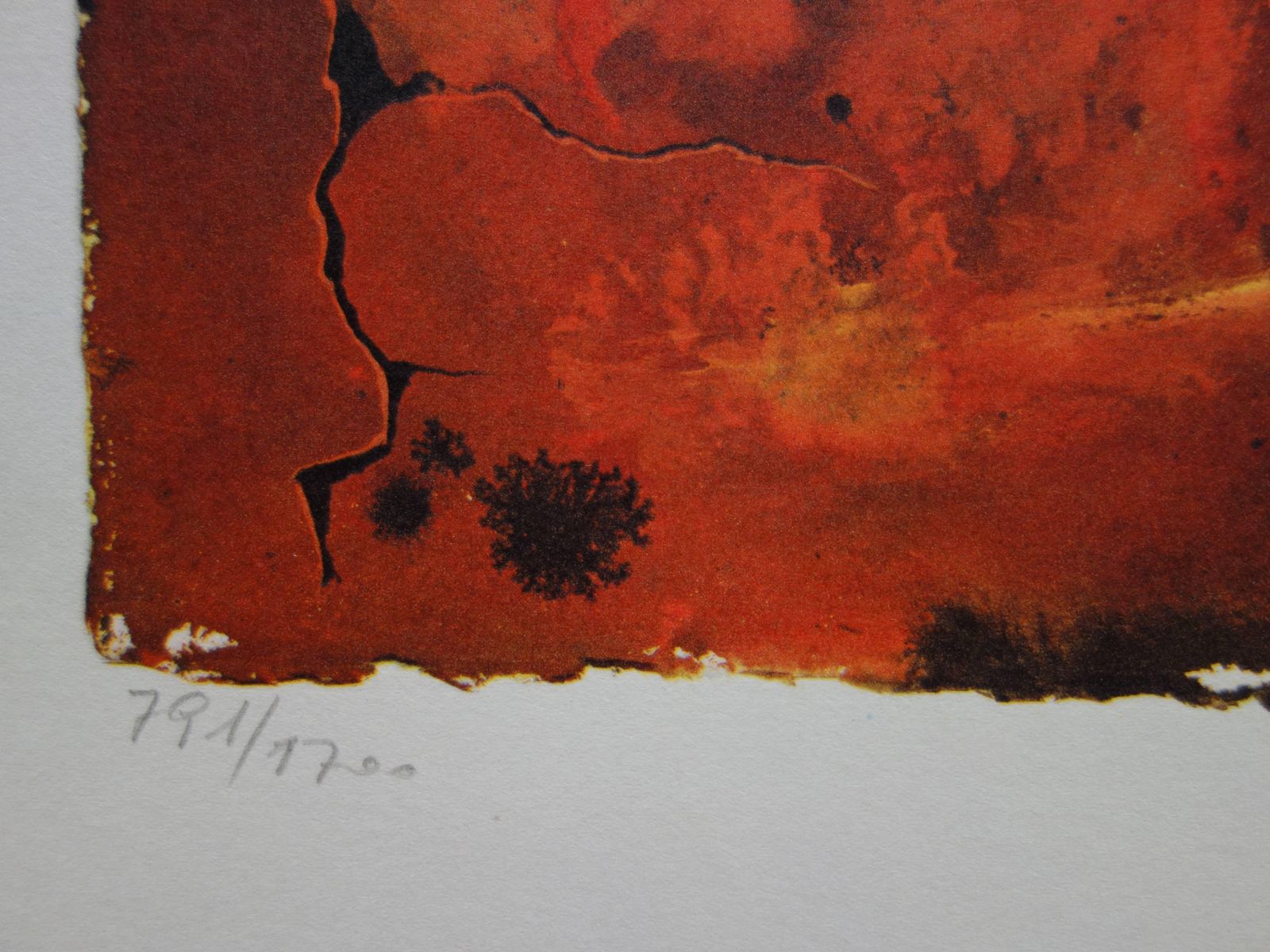 Butterfly Suite : Auvergne   Heliogravure And Lithograph   19691969 photo Art