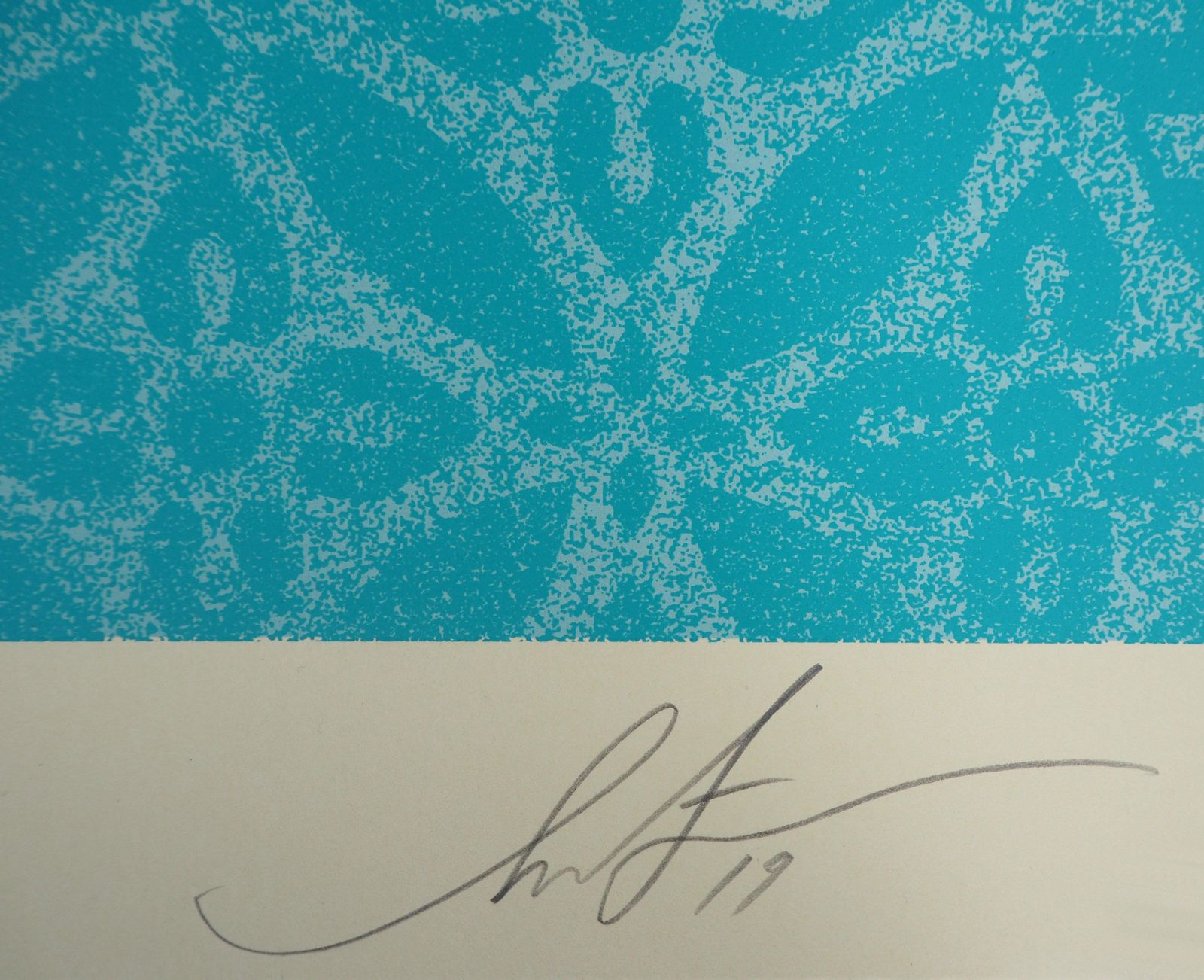 Shepard Faireyecology : Protect The Planet (Earth Crisis)   Tall Screenprint Signed & Numbered photo furniture