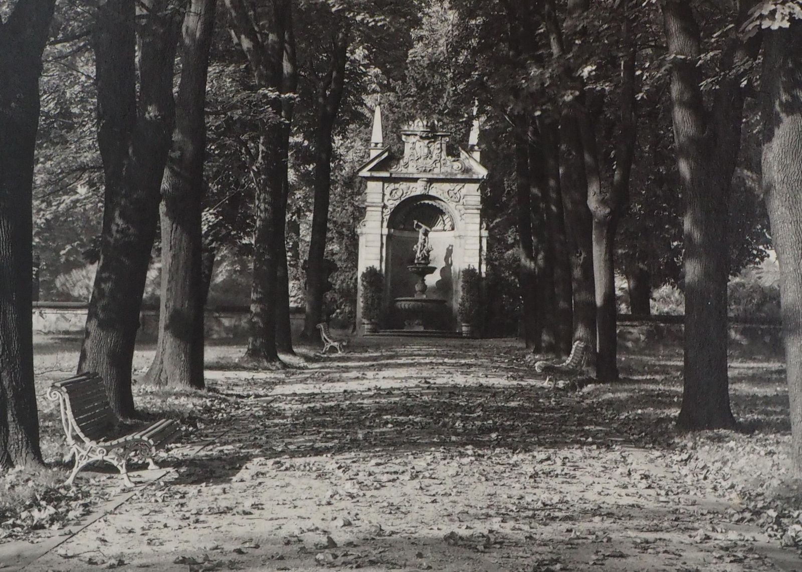 Josef Sudekprague : Royal Gardens   Original Hand Signed Gelatin Silver Photograph, 19761976 photo Art