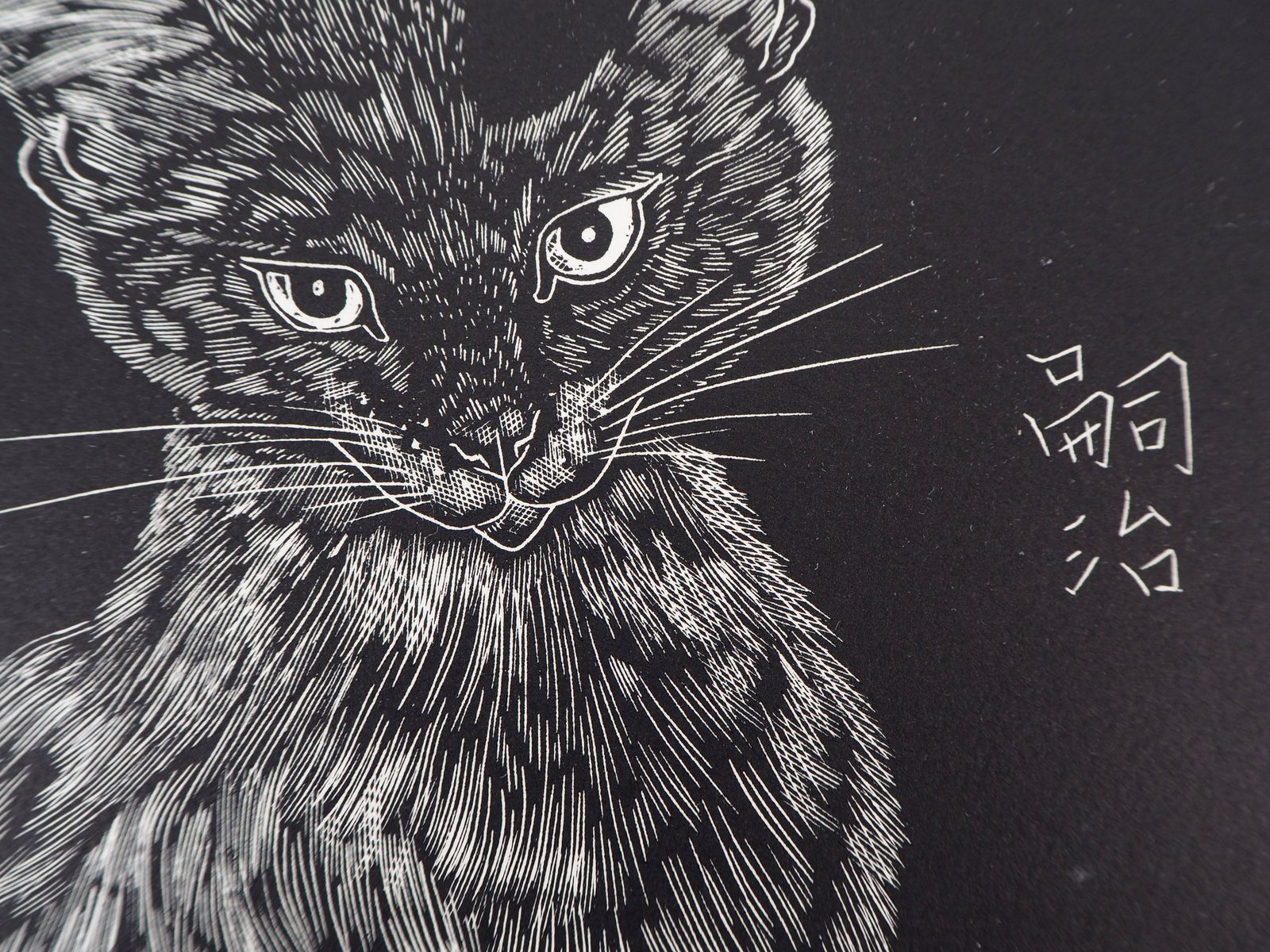 Léonard Tsuguharu Foujitacat   Original Woodcut, Handsigned And Numbered /160   Buisson #27 031927 photo vintage