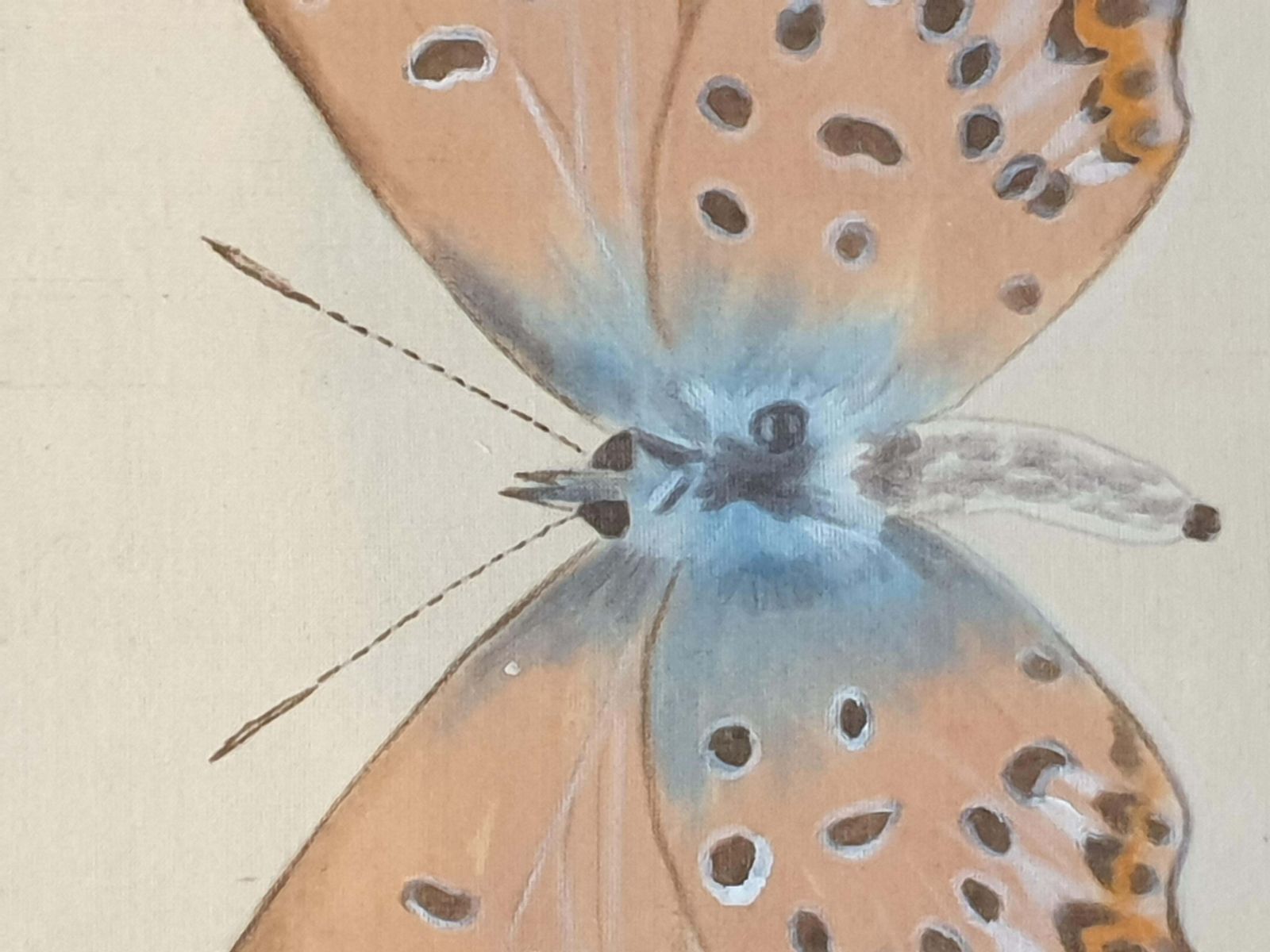 La Roche Laffittestudy Of A Butterfly, Watercolour On Silk Applied To Handmade Paper. photo buy
