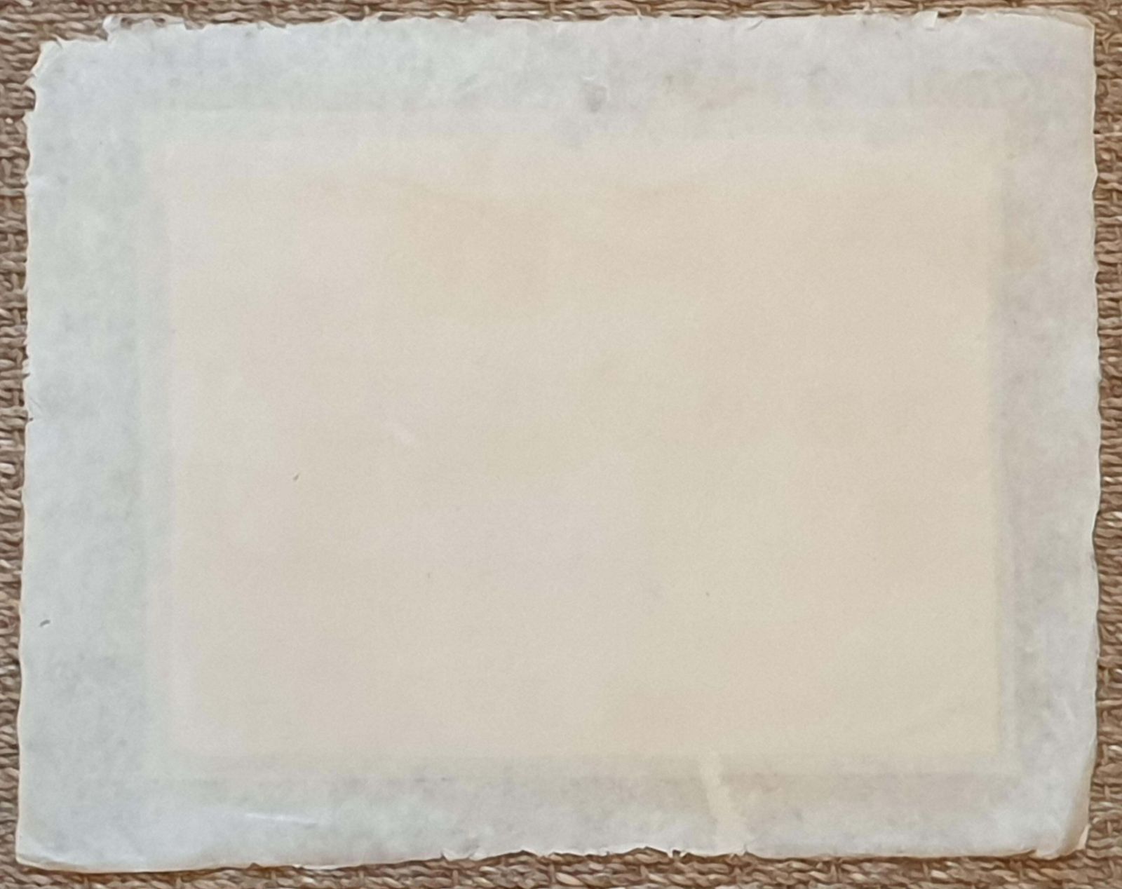 Art La Roche Laffittestudy Of A Butterfly, Watercolour On Silk Applied To Handmade Paper. photo